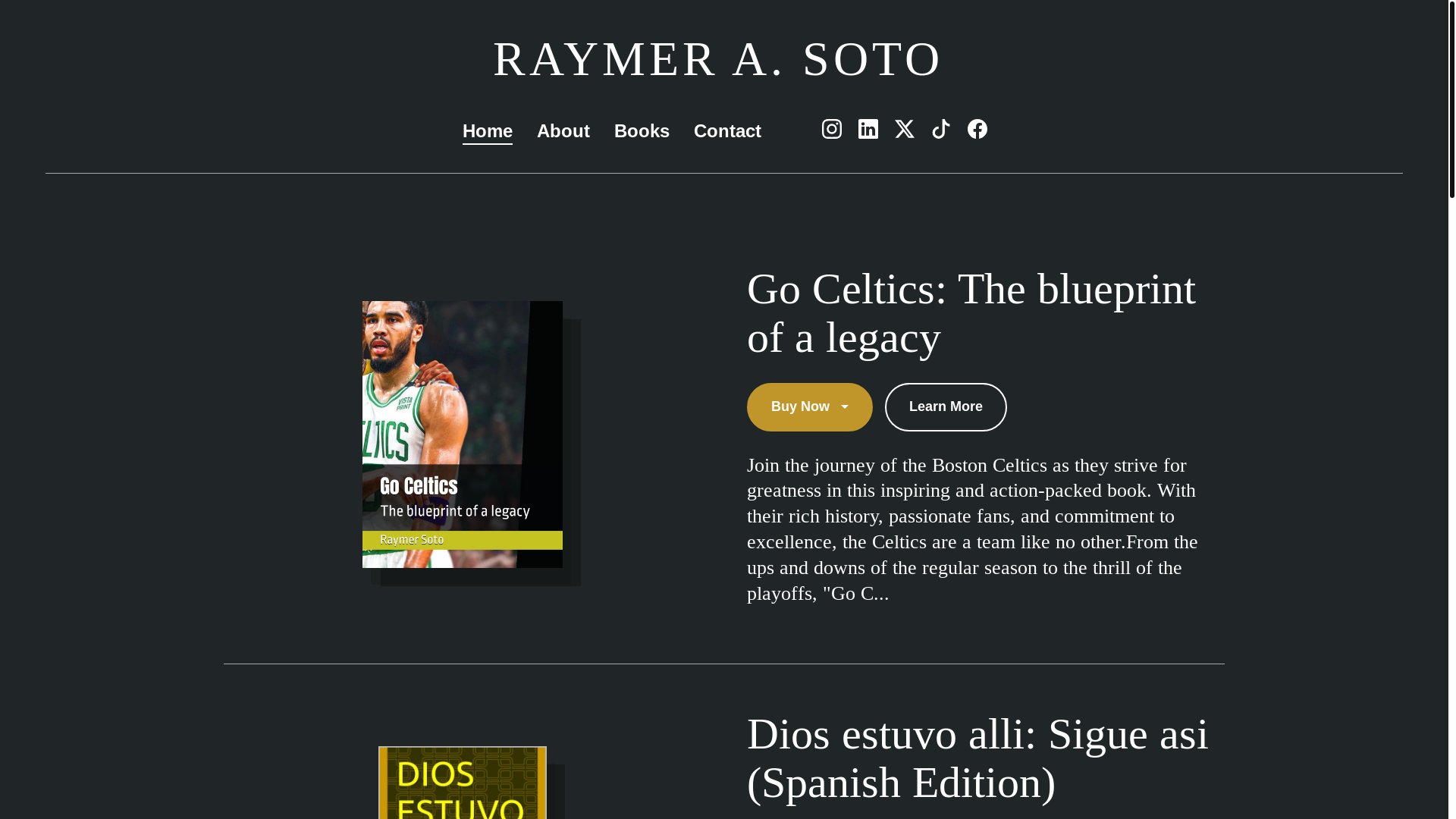 website screenshot of https://sotobooks.com/