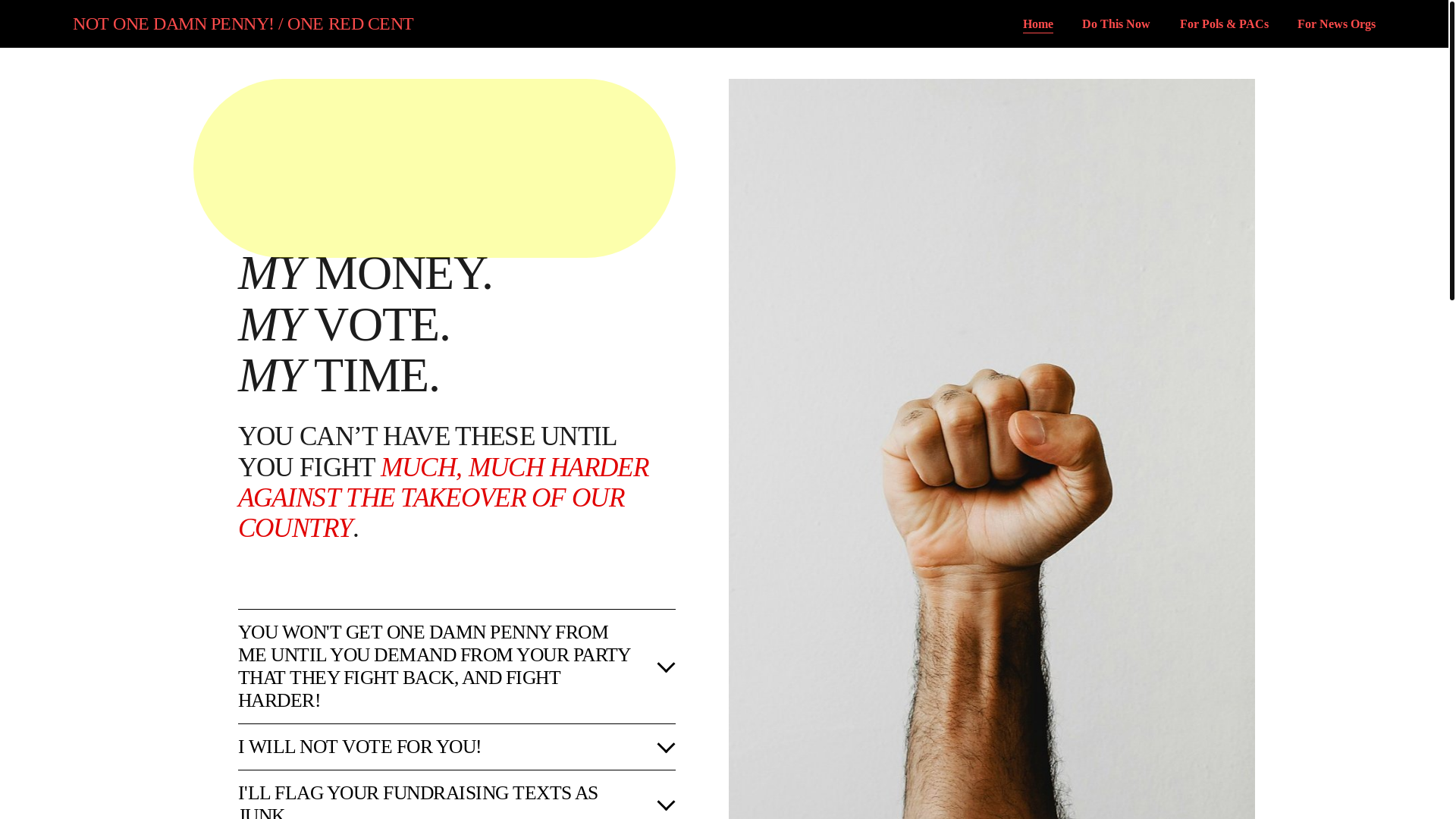 website screenshot of https://notonedamnpenny.org/