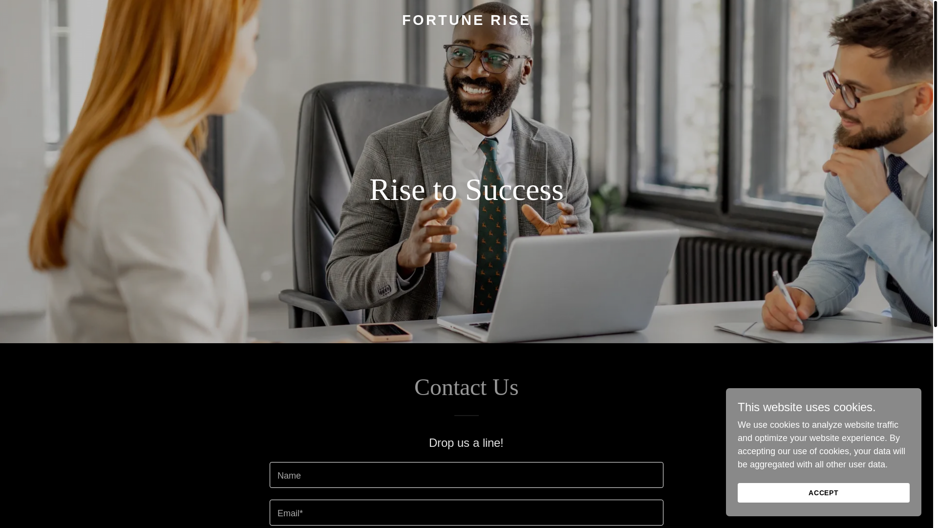 website screenshot of https://fourtunerise.ca/