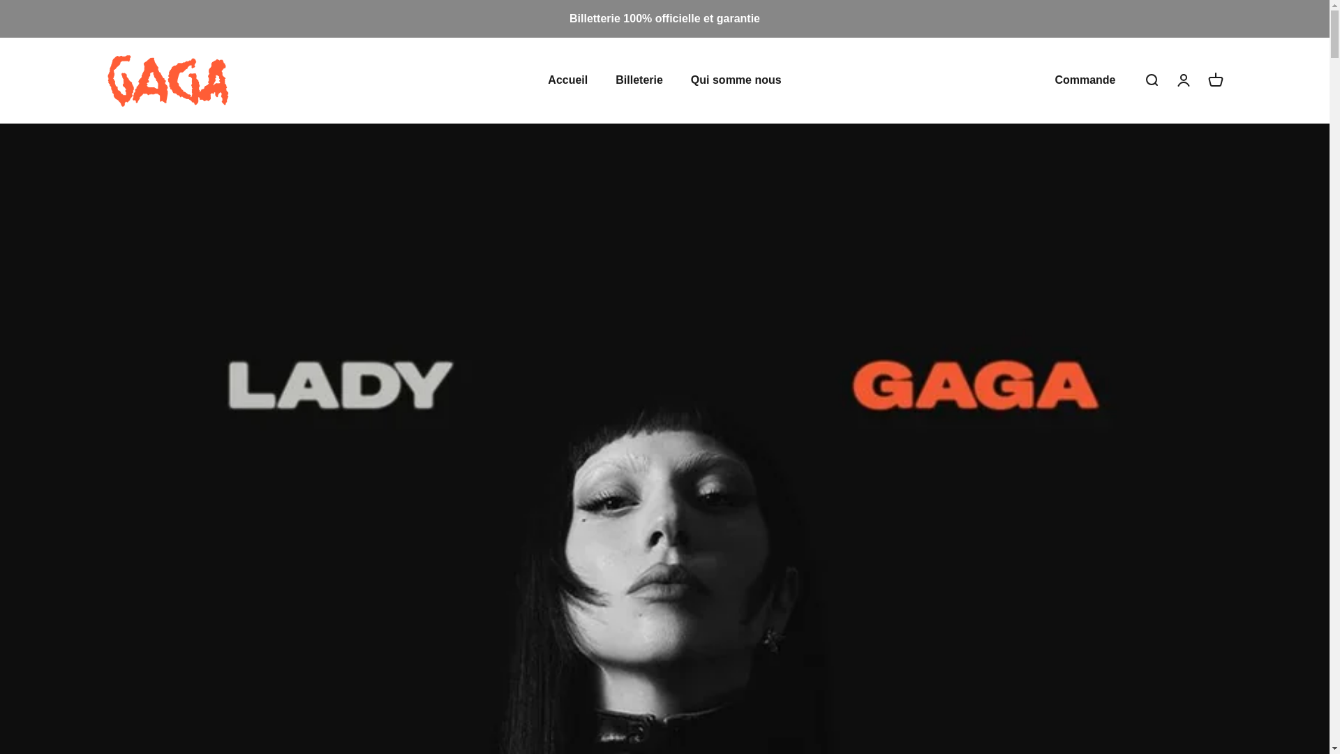 website screenshot of https://event-monster.fr/