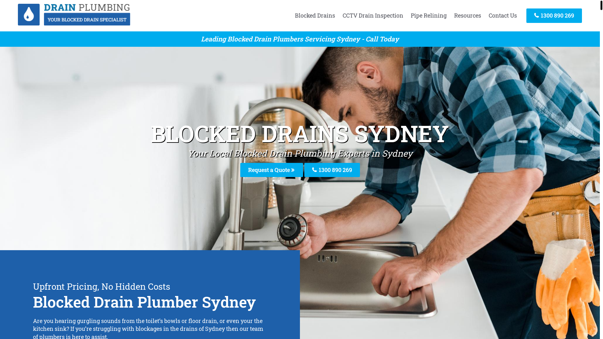 website screenshot of https://sydneyplumberblockeddrains-com-au.pages.dev/