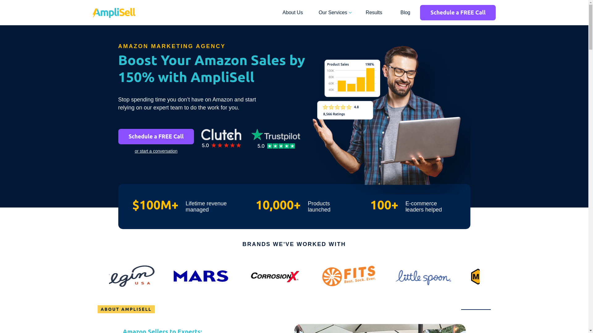 website screenshot of https://amplisellstoreoptimization.info/