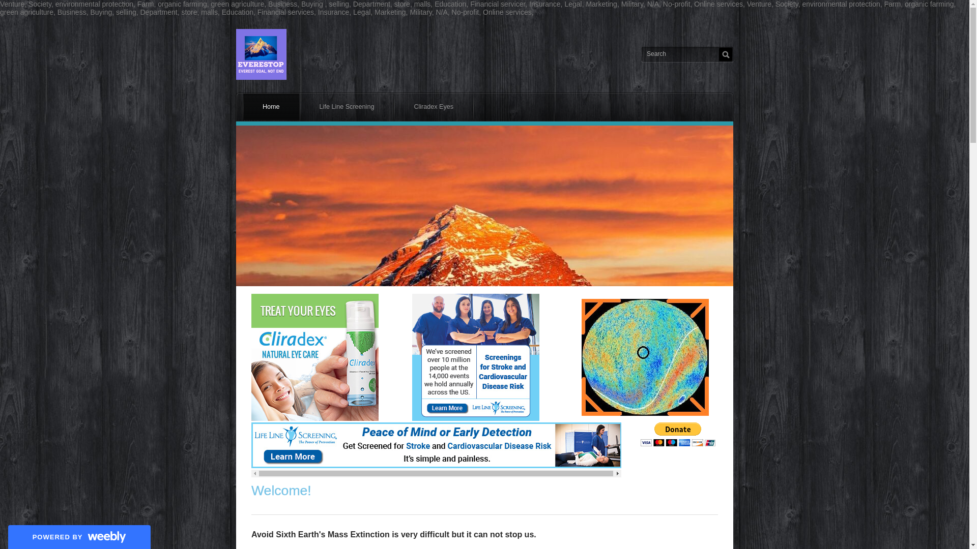 website screenshot of https://everestop.com/