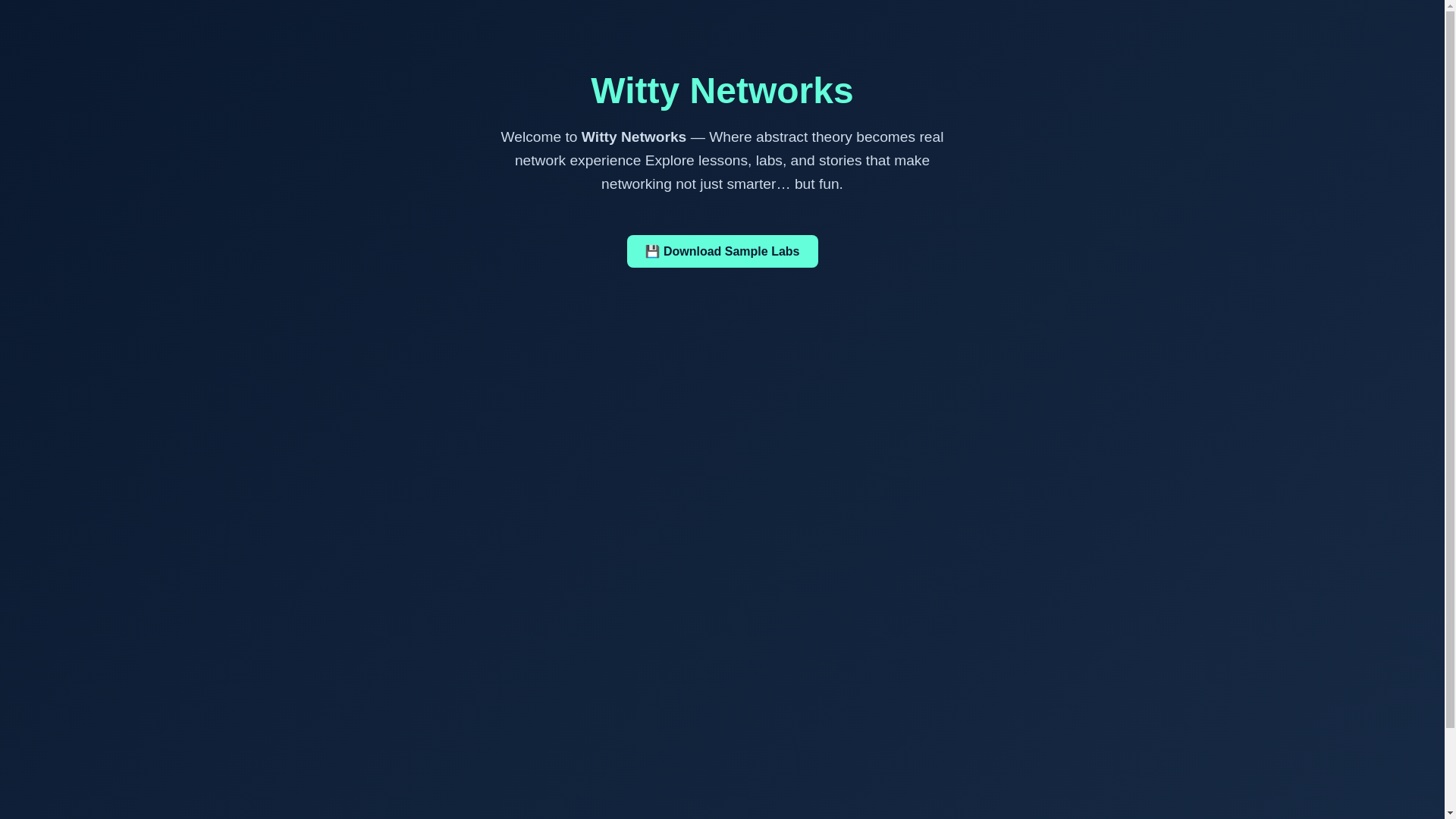 website screenshot of https://wittynetworks.net/
