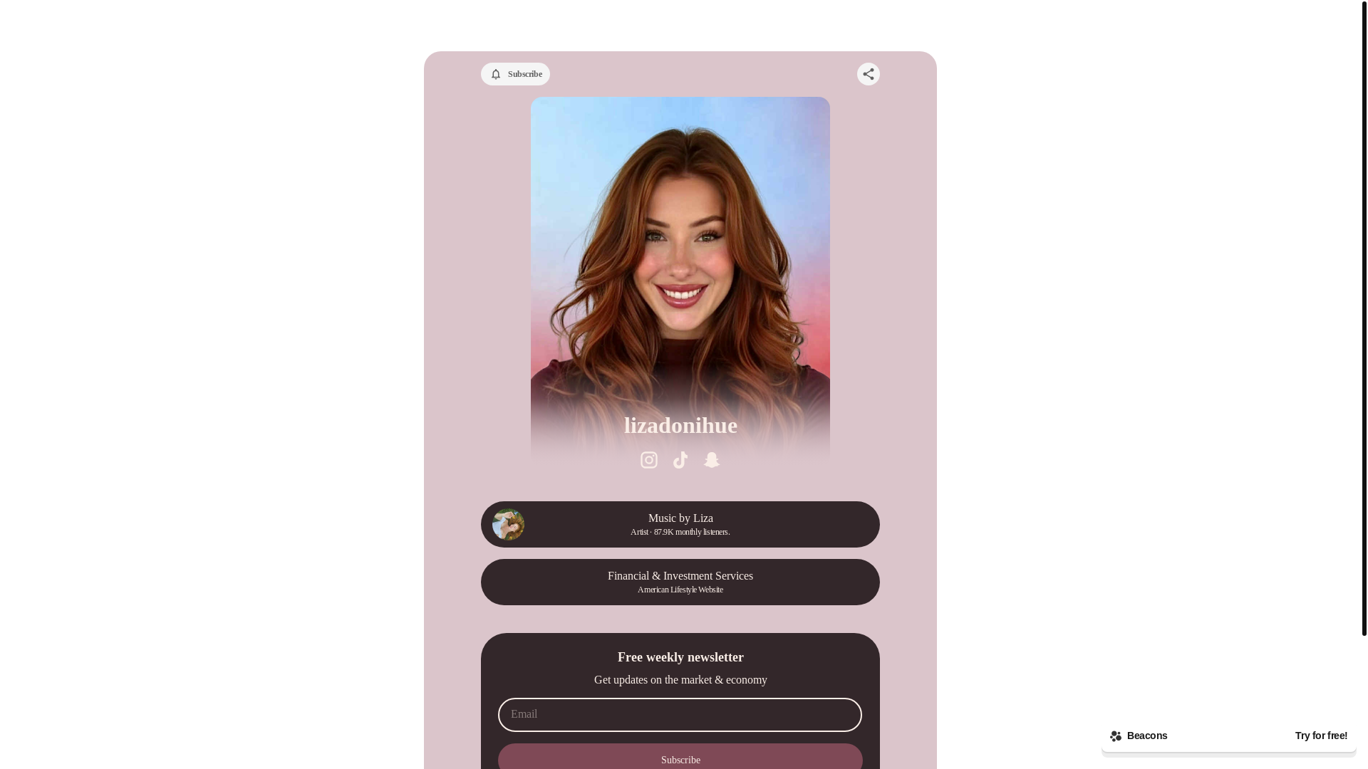 website screenshot of https://lizadonihue.store/