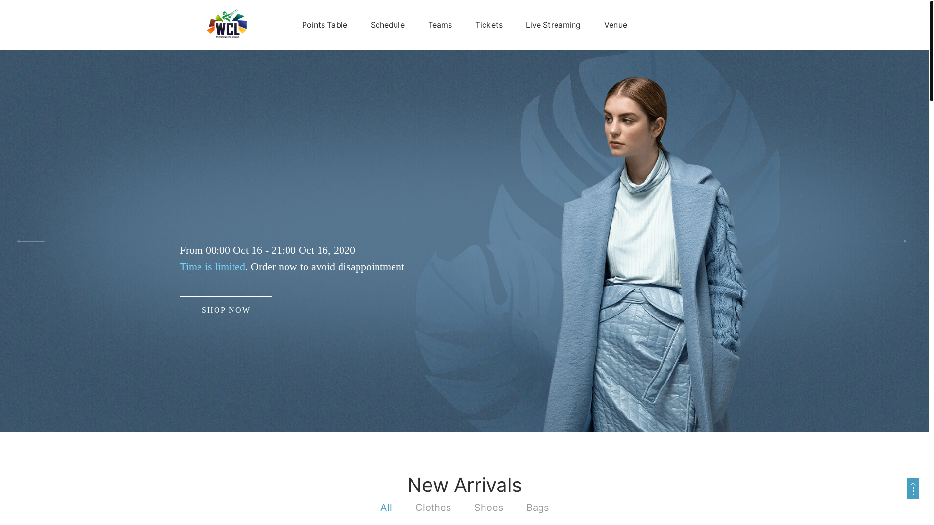 website screenshot of https://wclegends2025.com/