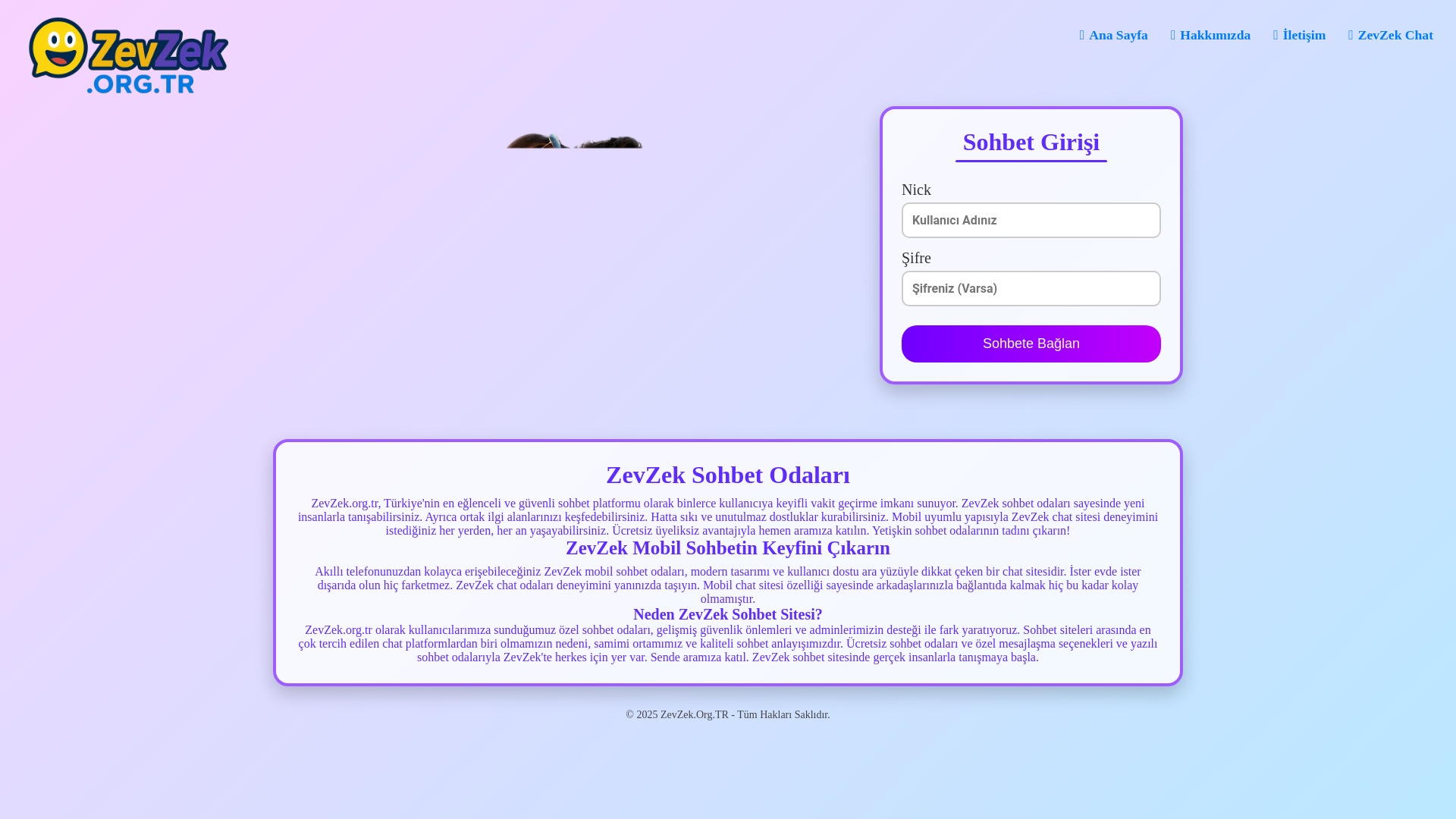 website screenshot of https://zevzek.org.tr/