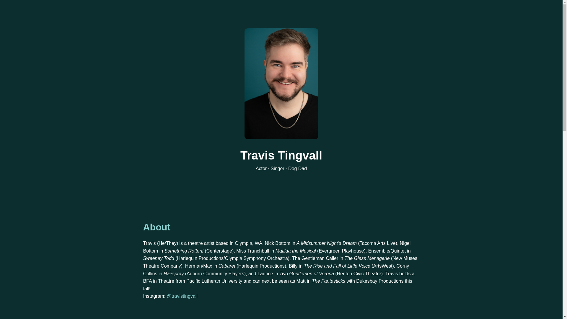 website screenshot of https://travistingvall.com/
