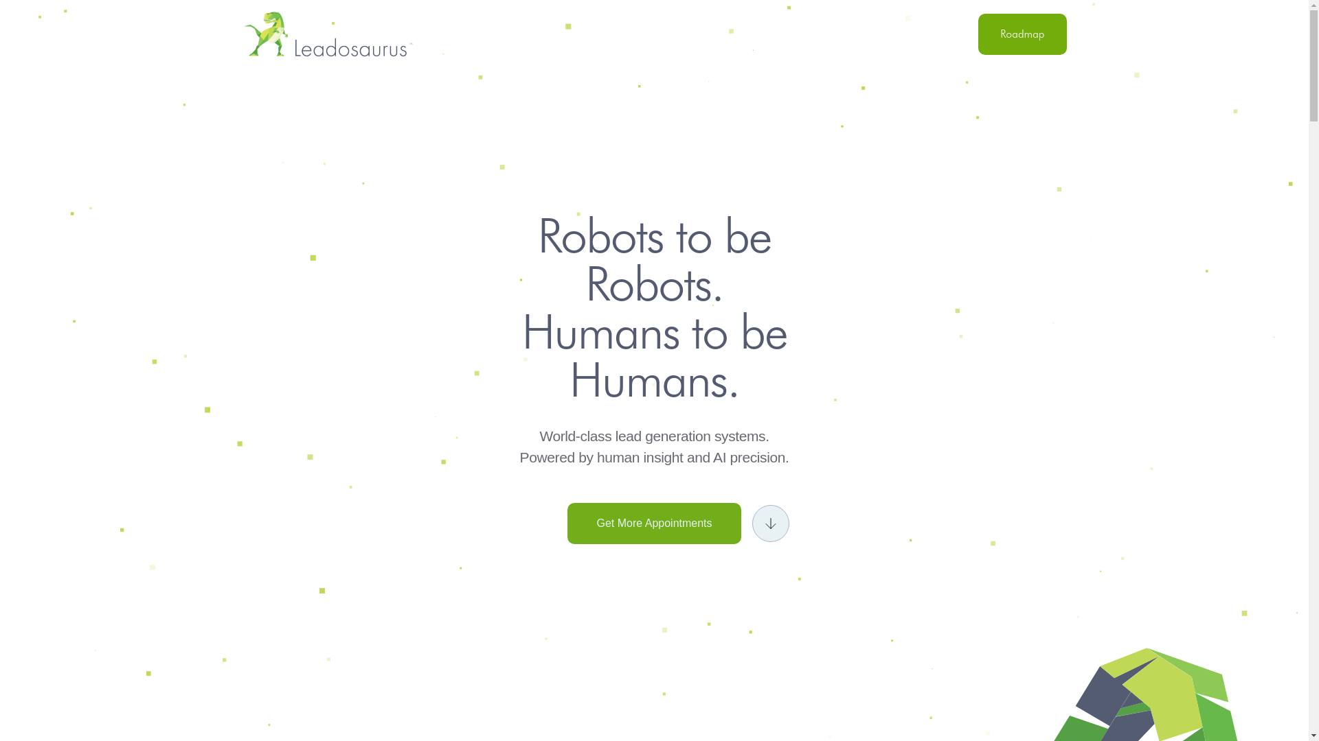 website screenshot of https://theleadohq.com/