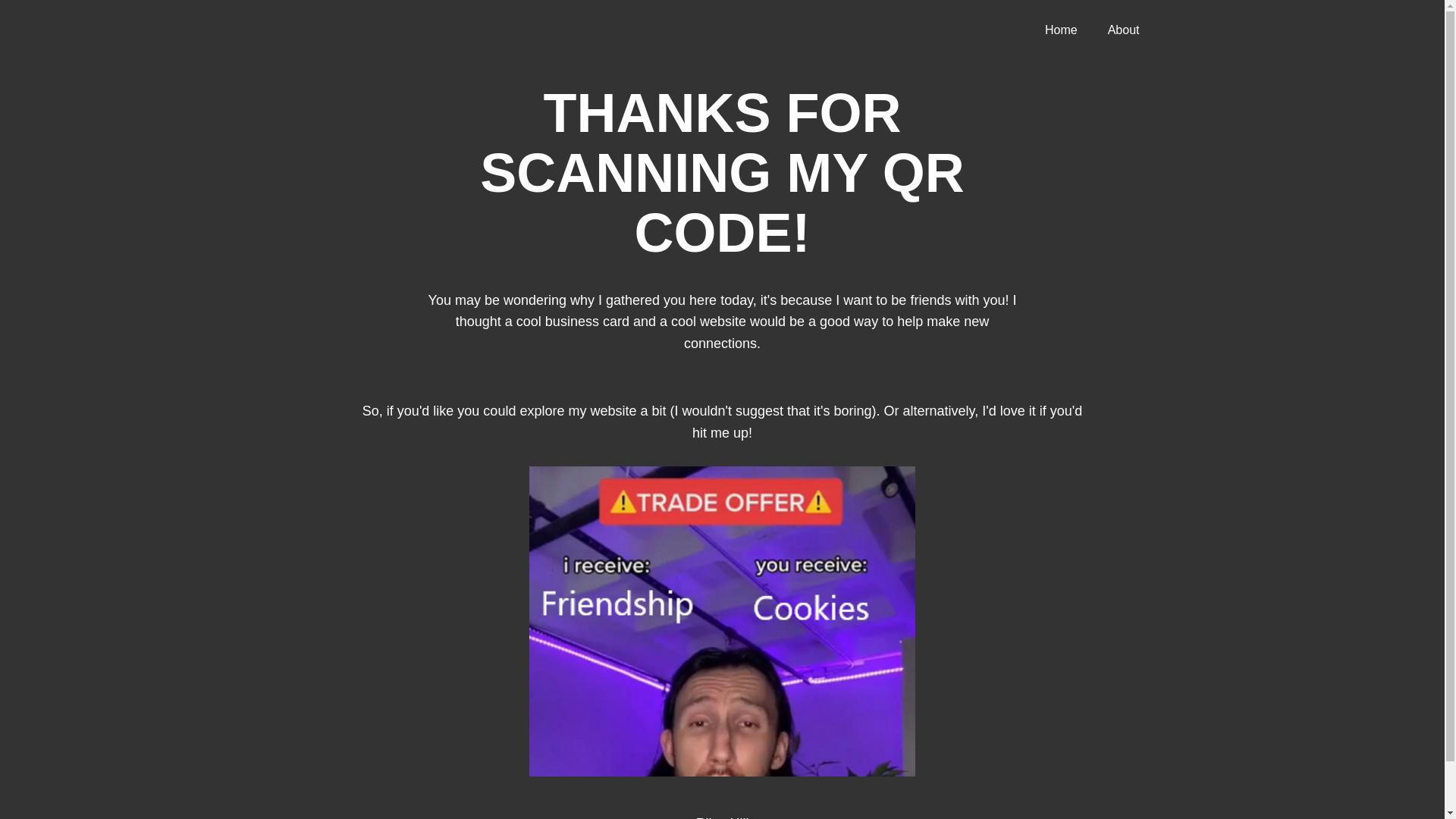 website screenshot of https://noahwebsite.pages.dev/