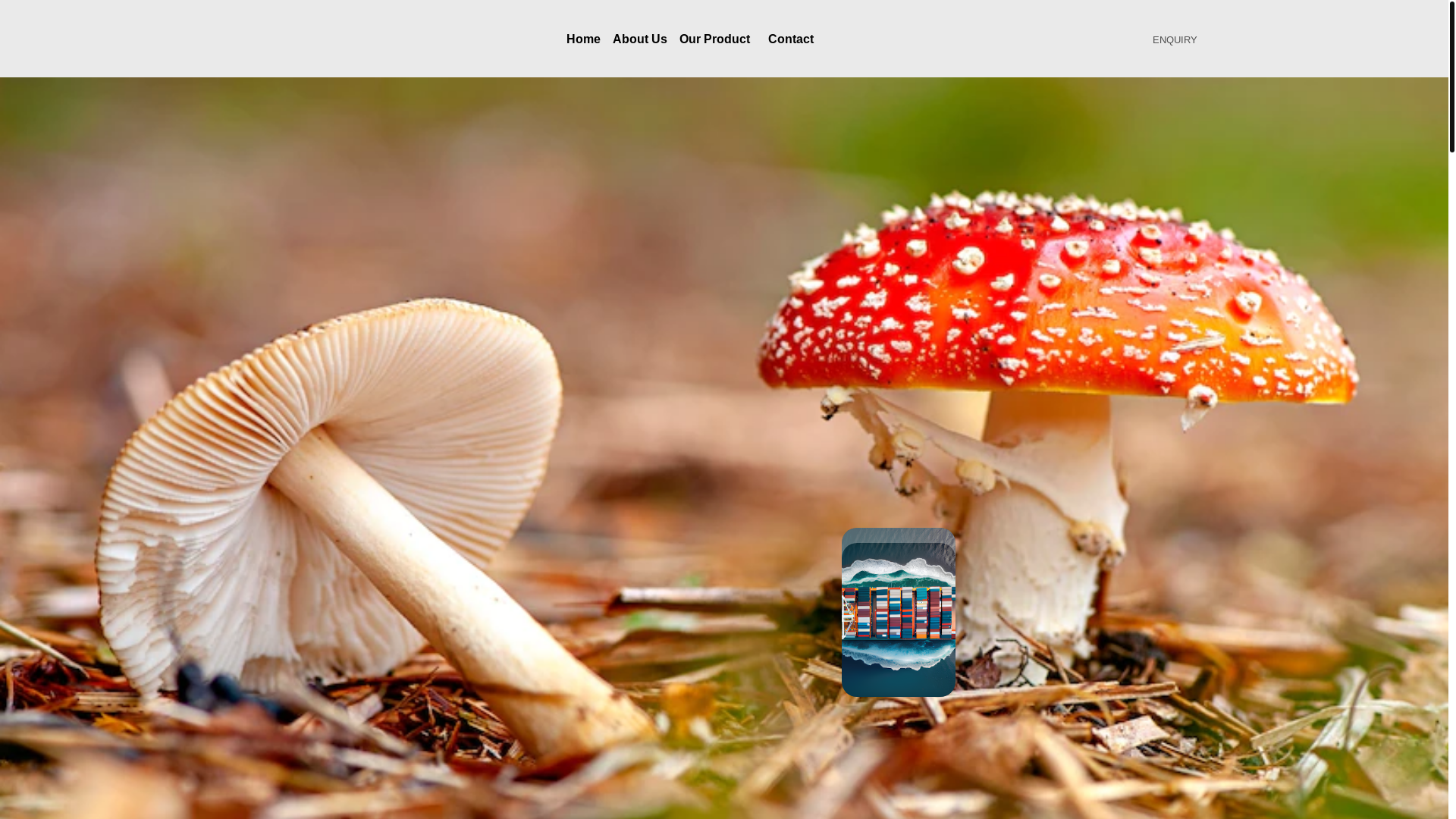 website screenshot of https://silexdynamics.com/