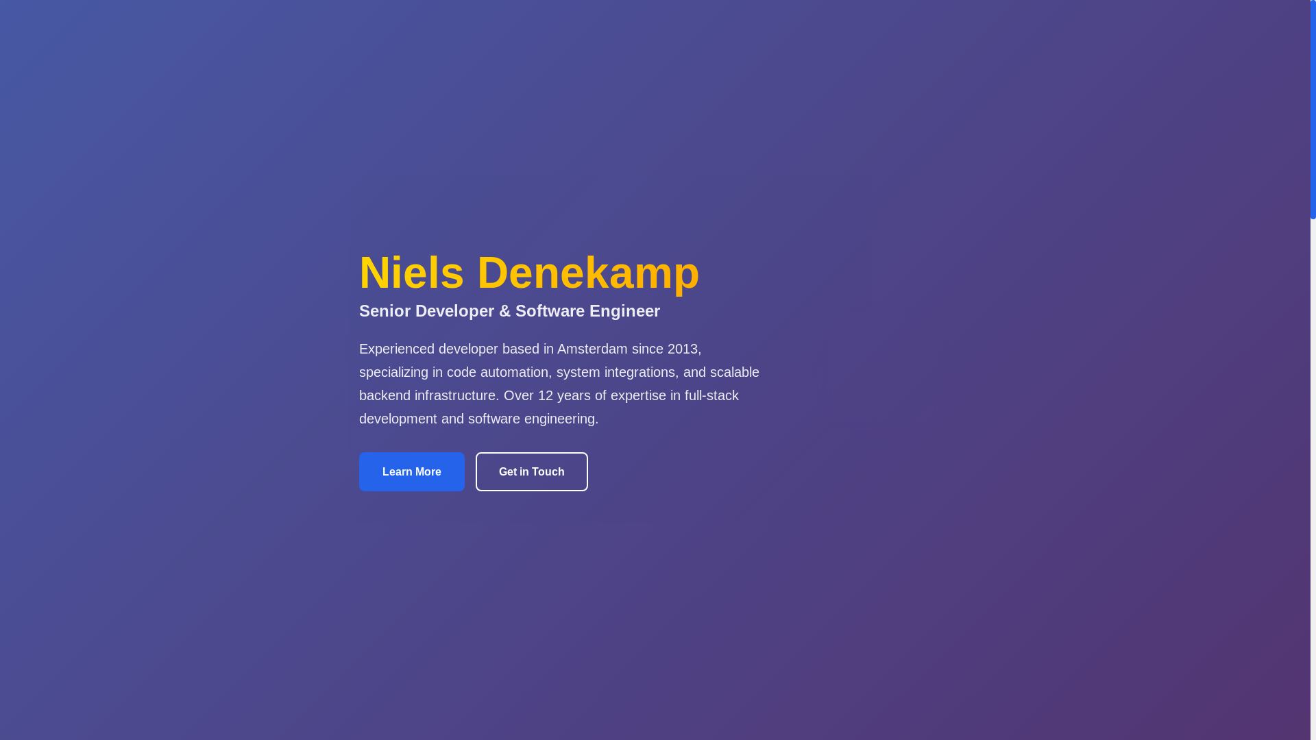 website screenshot of https://ndenekamp.com/
