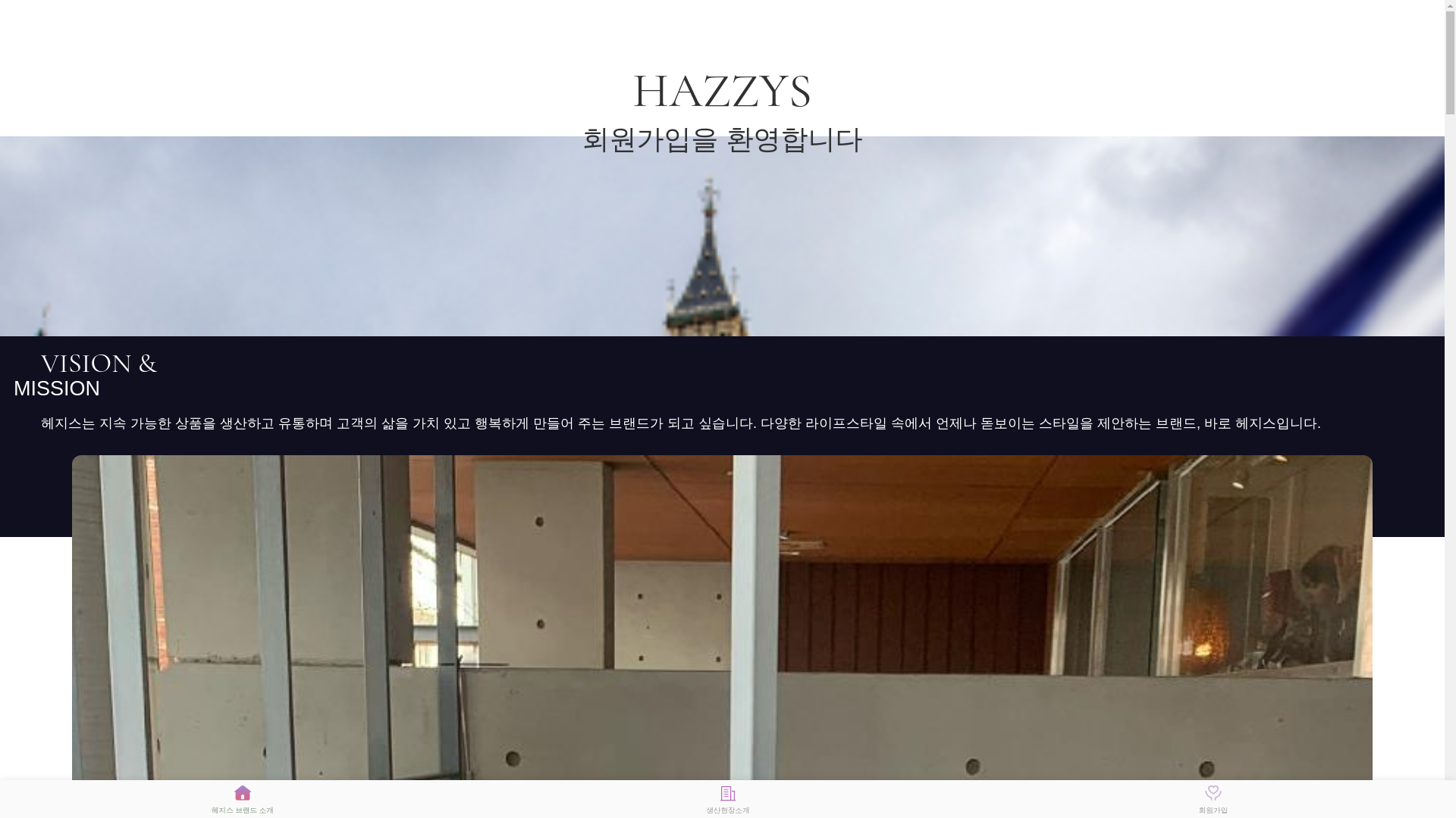 website screenshot of https://hasscyx.com/