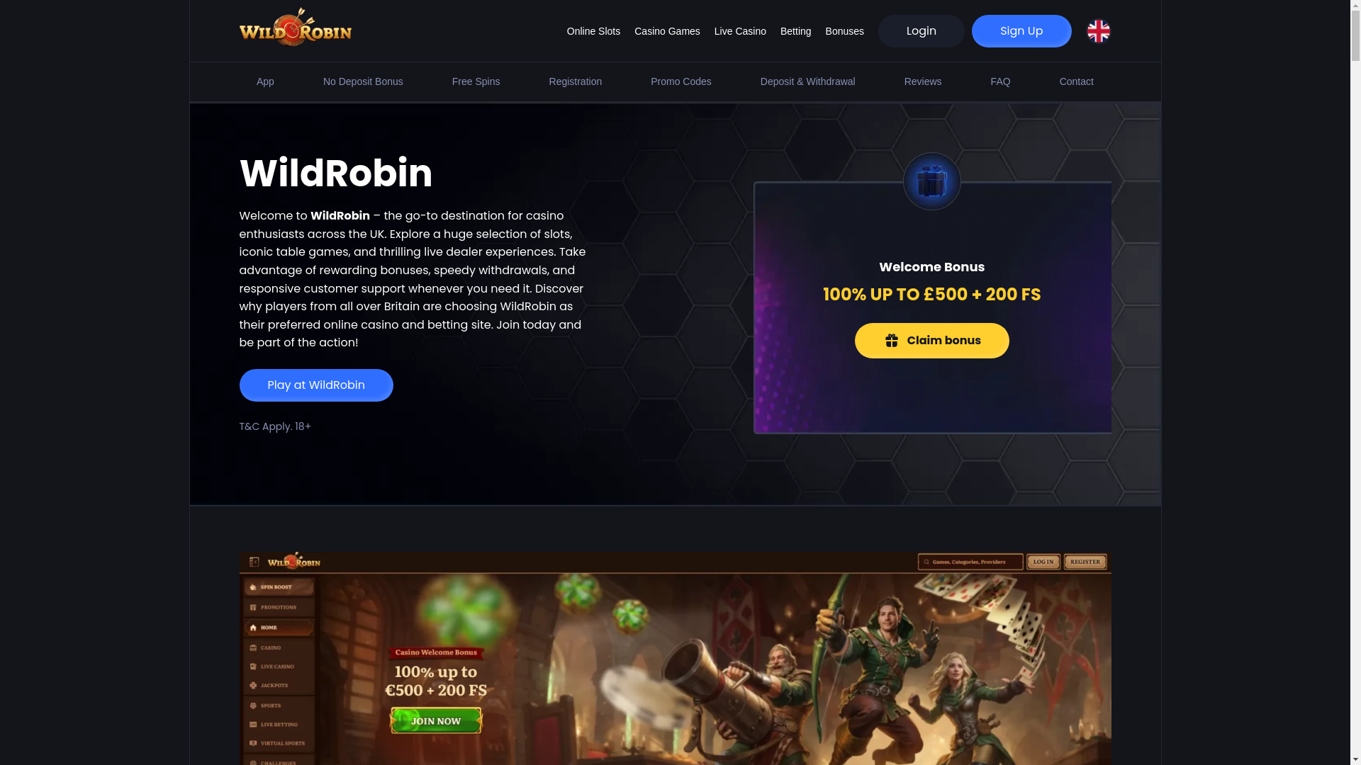 website screenshot of https://wild-robin-casino.co.uk/