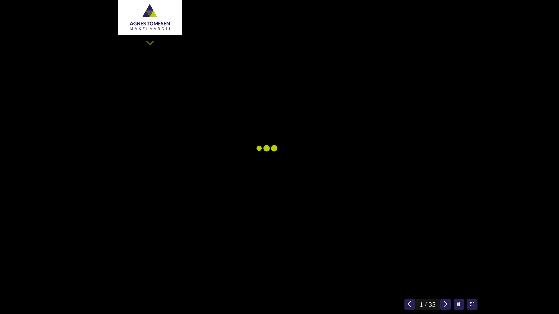 website screenshot of https://vedelring147.nl/