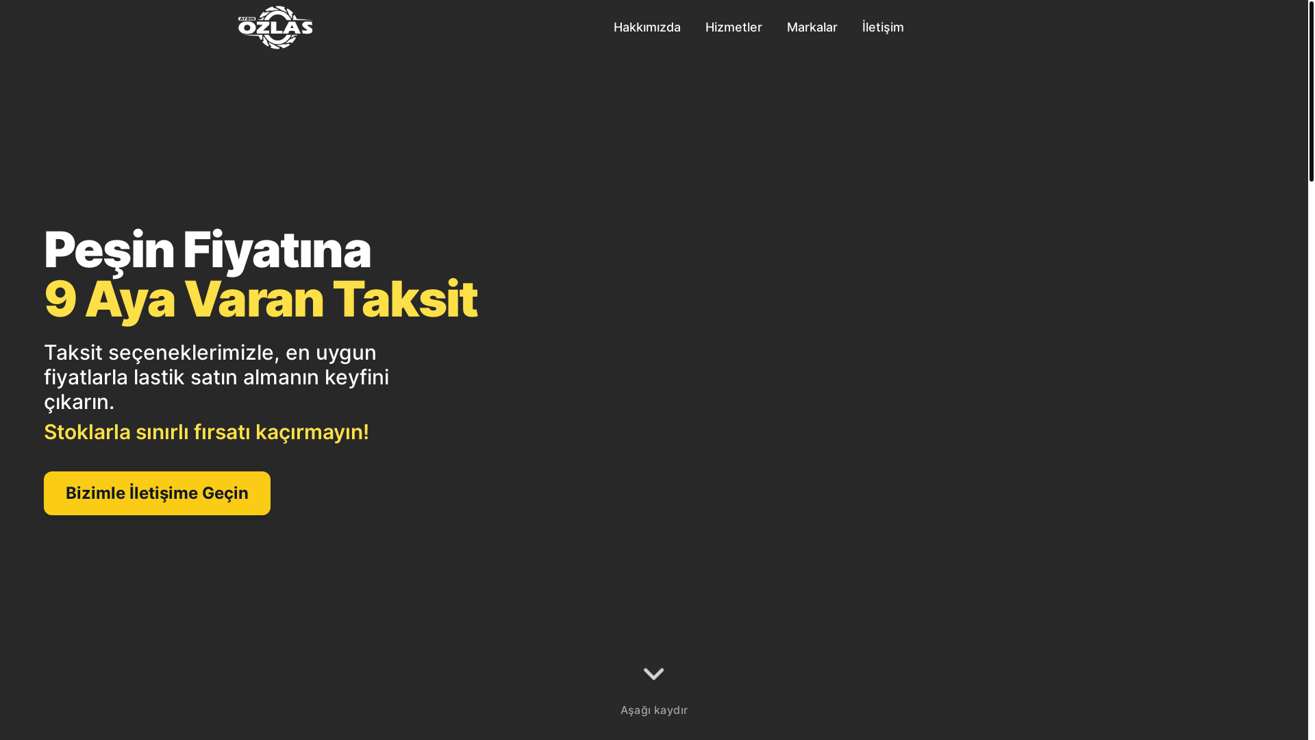 website screenshot of https://ozlasaydin.com.tr/