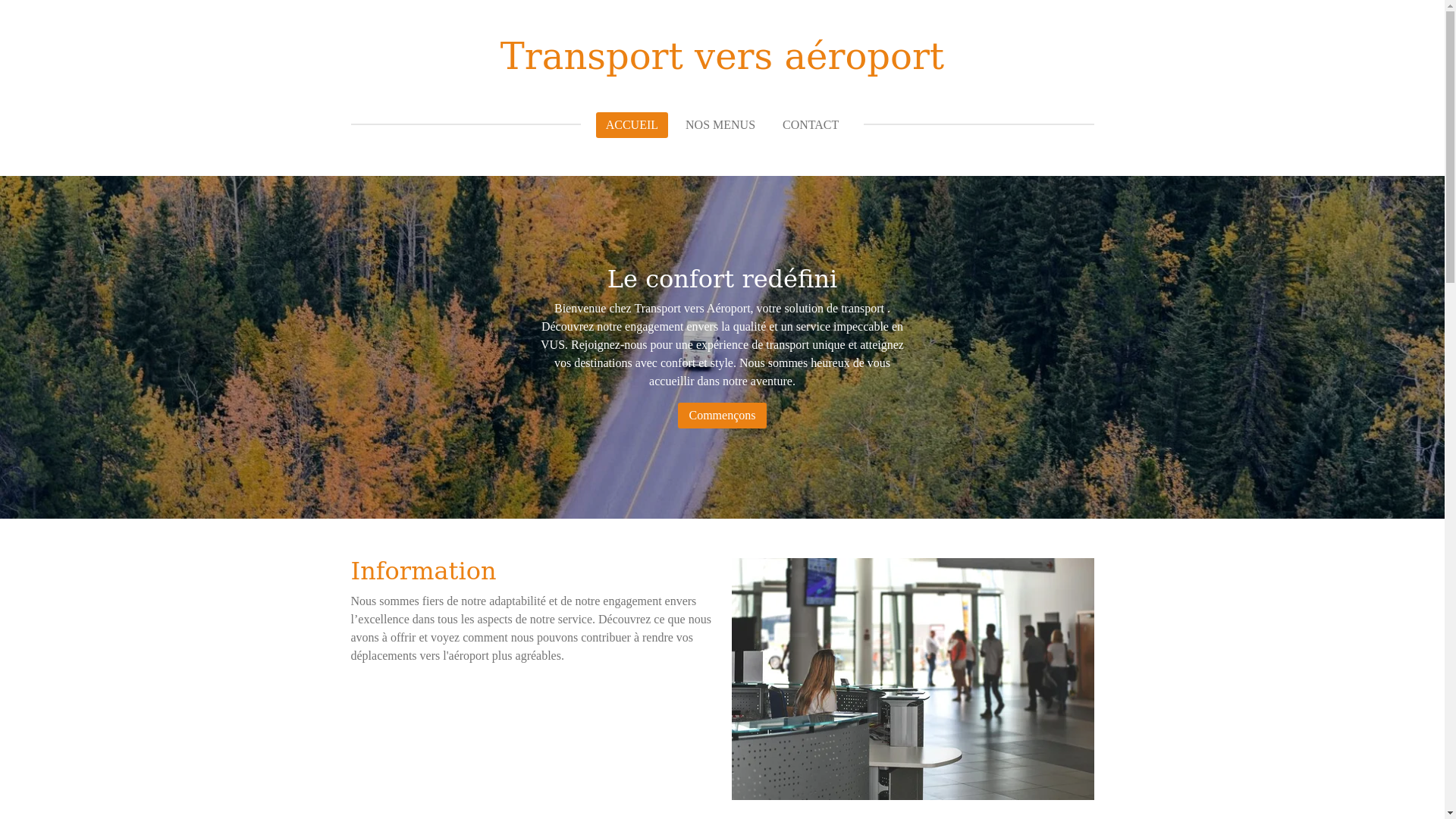 website screenshot of https://transport-vers-aeroport.com/