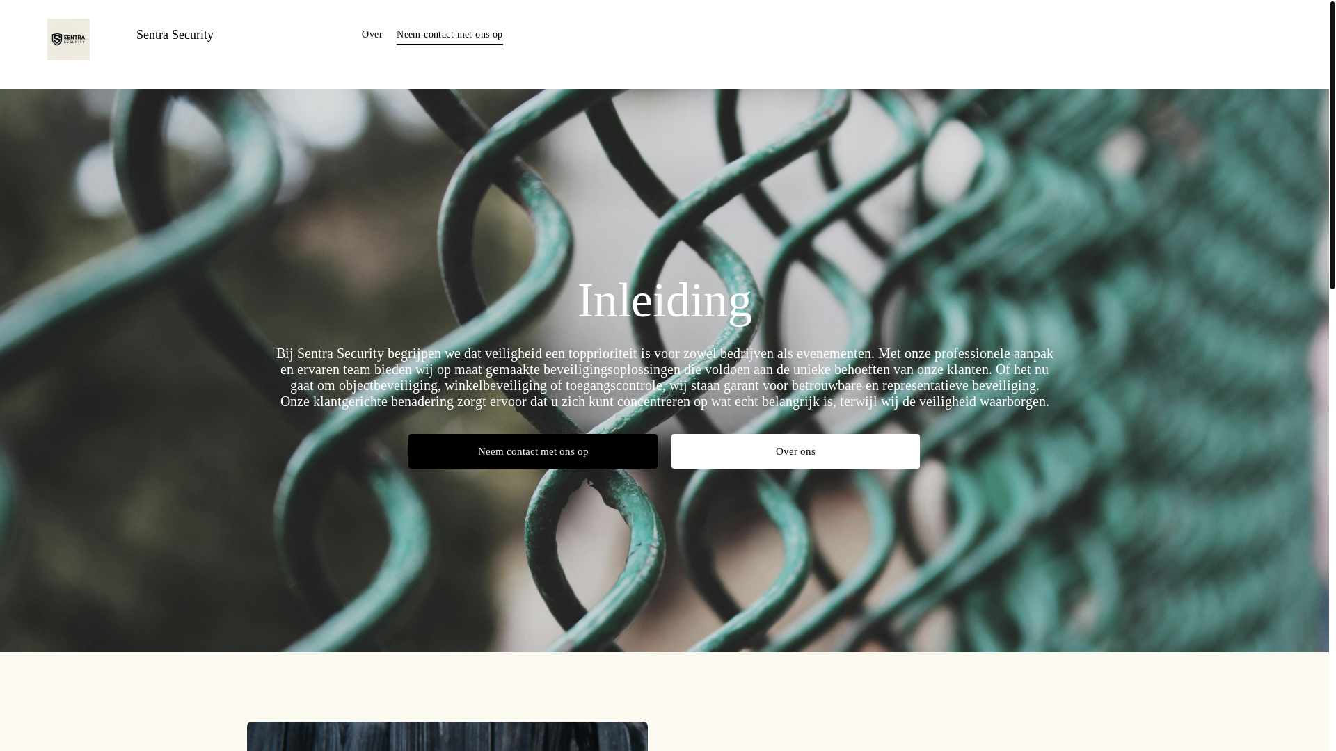 website screenshot of https://sentrasecurity.nl/