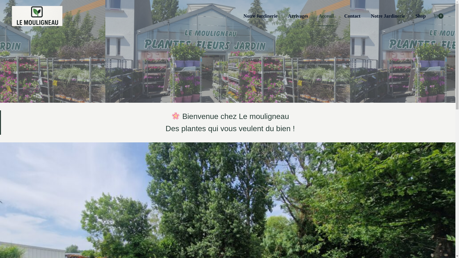 website screenshot of https://lemouligneau.eu/