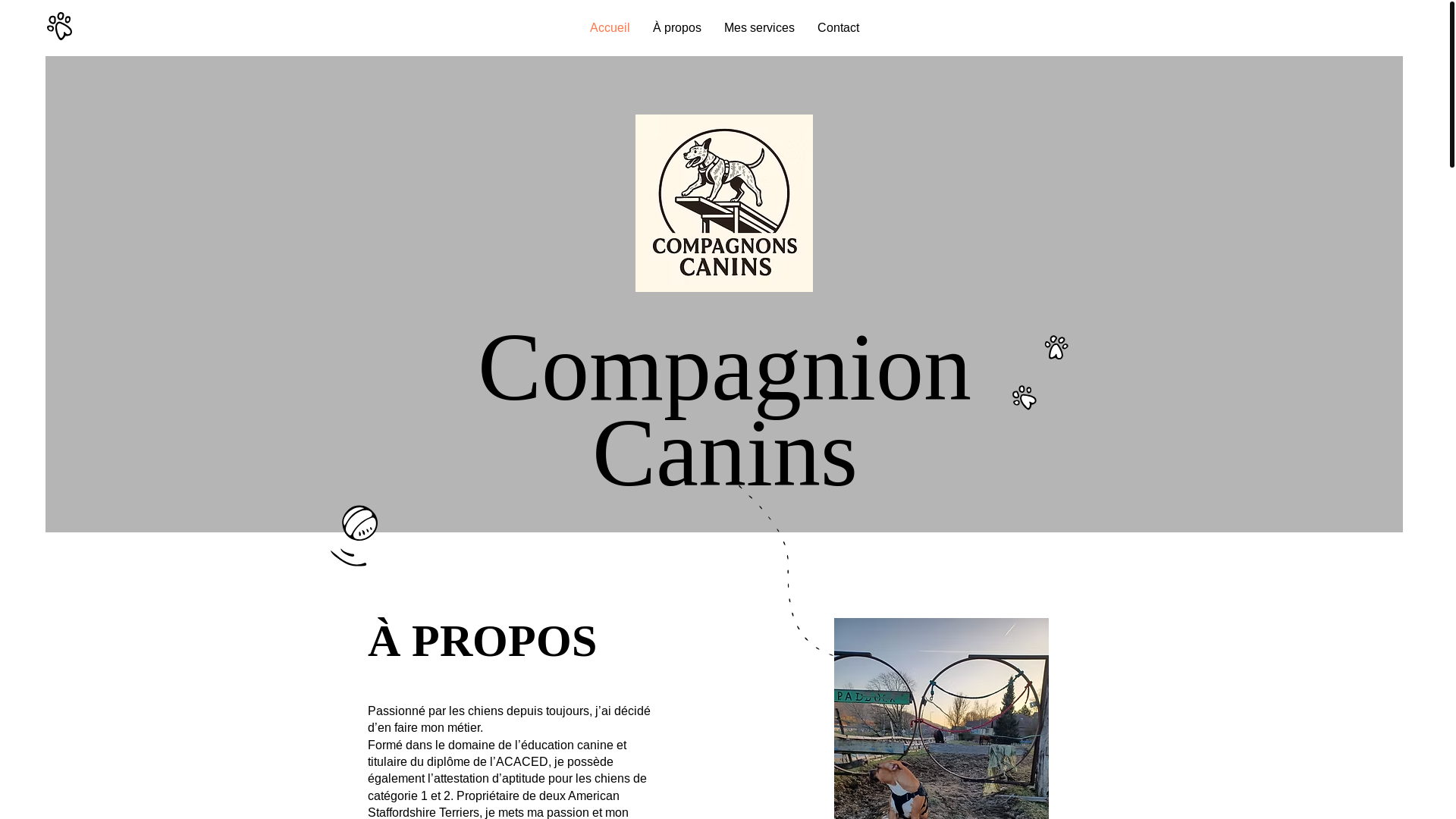 website screenshot of https://compagnonscanins.fr/