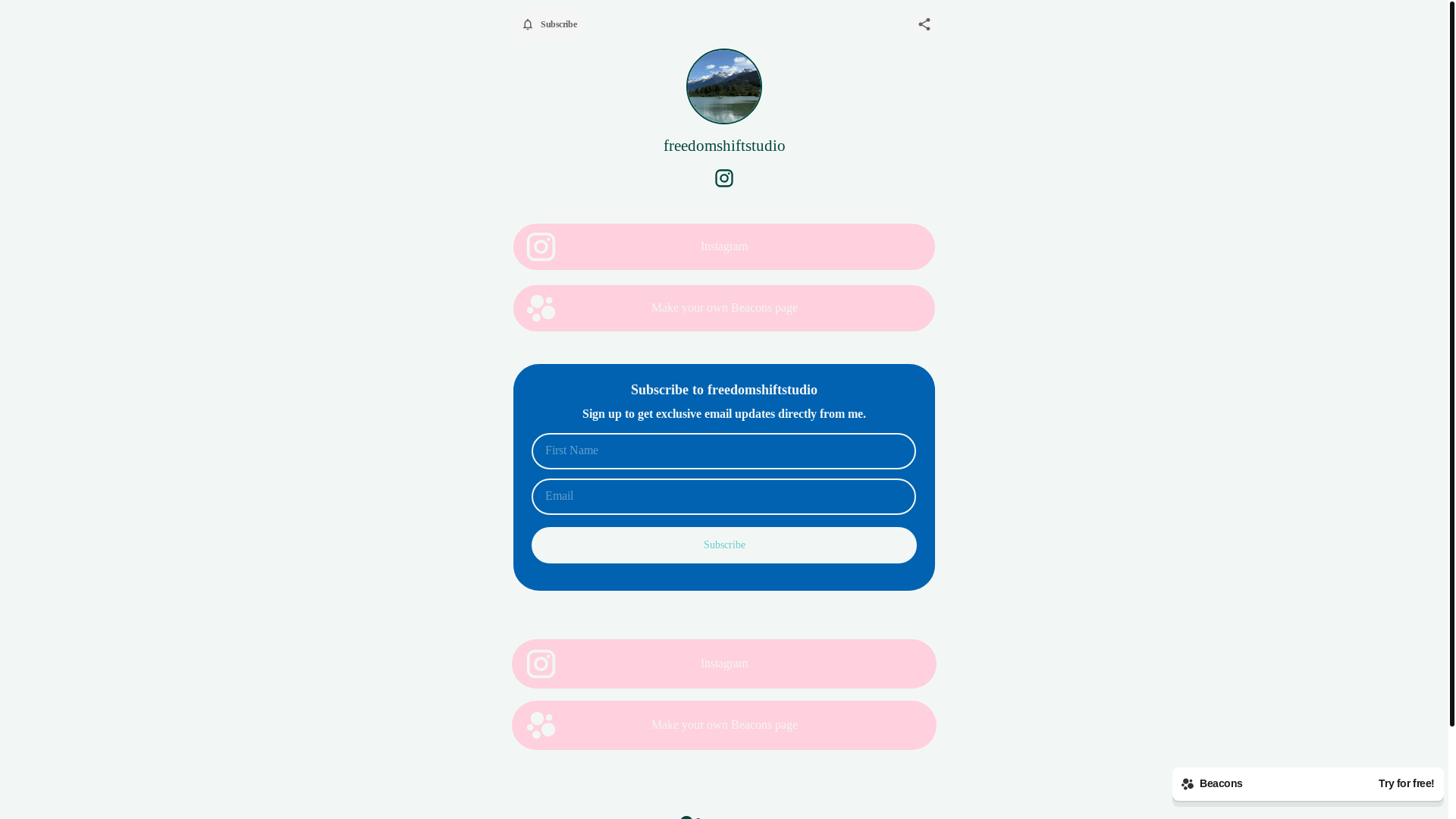 website screenshot of https://freedomshiftstudio.com/