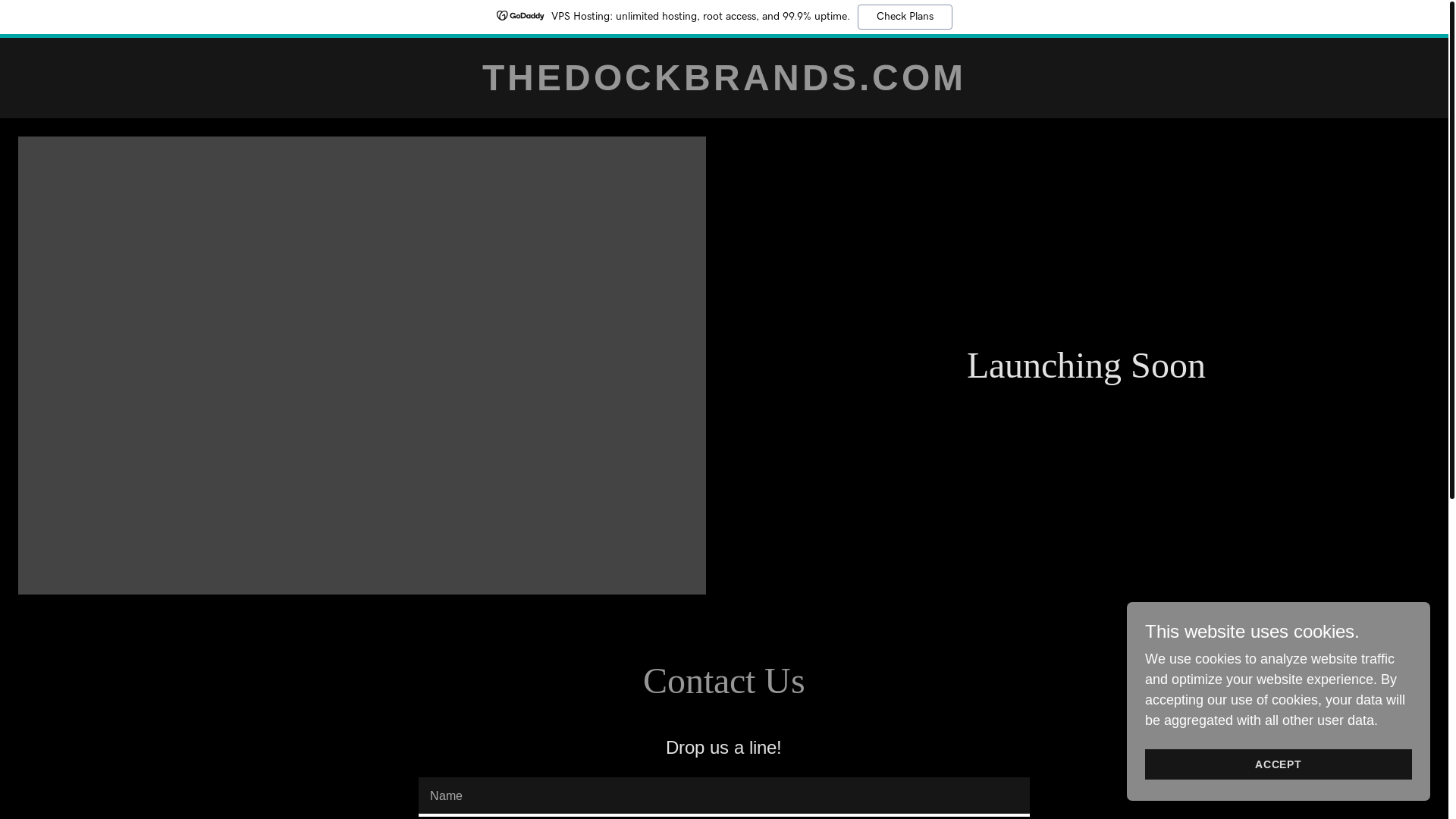 website screenshot of https://thedockbrands.com/