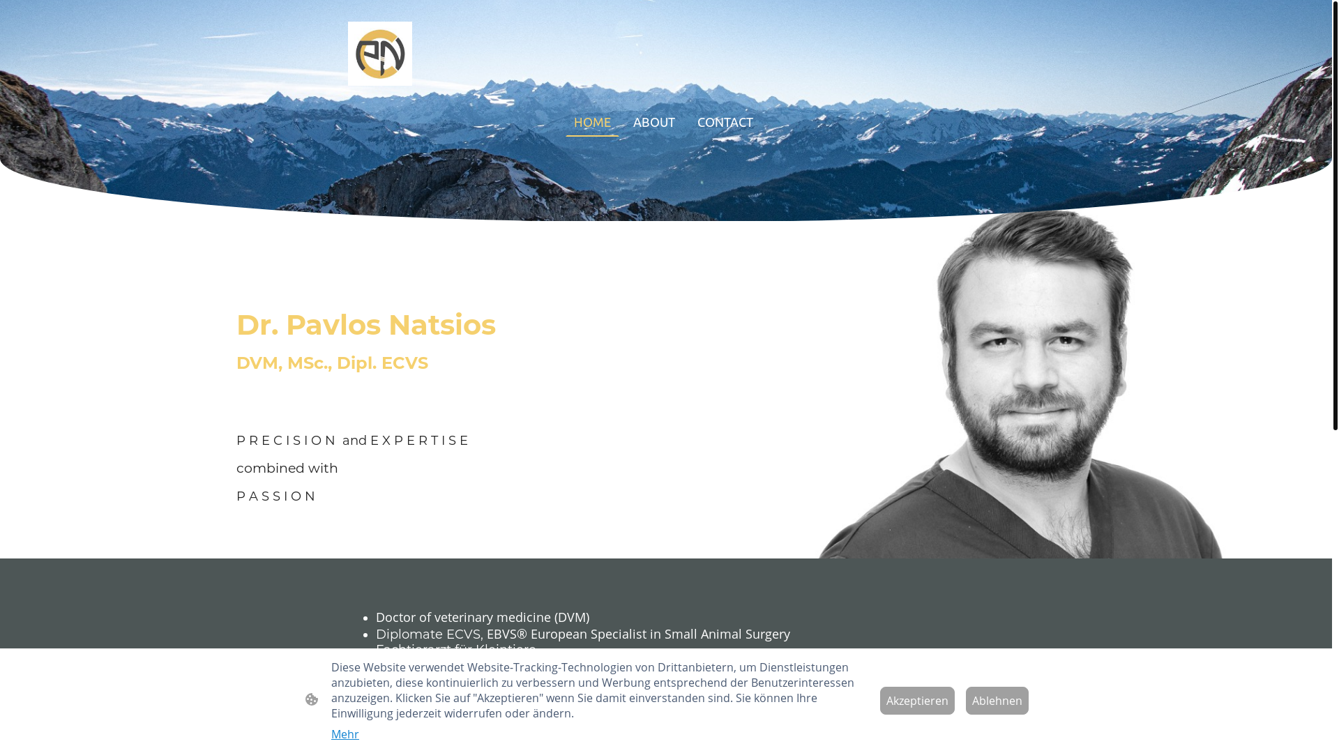 website screenshot of https://pavlosnatsios.com/