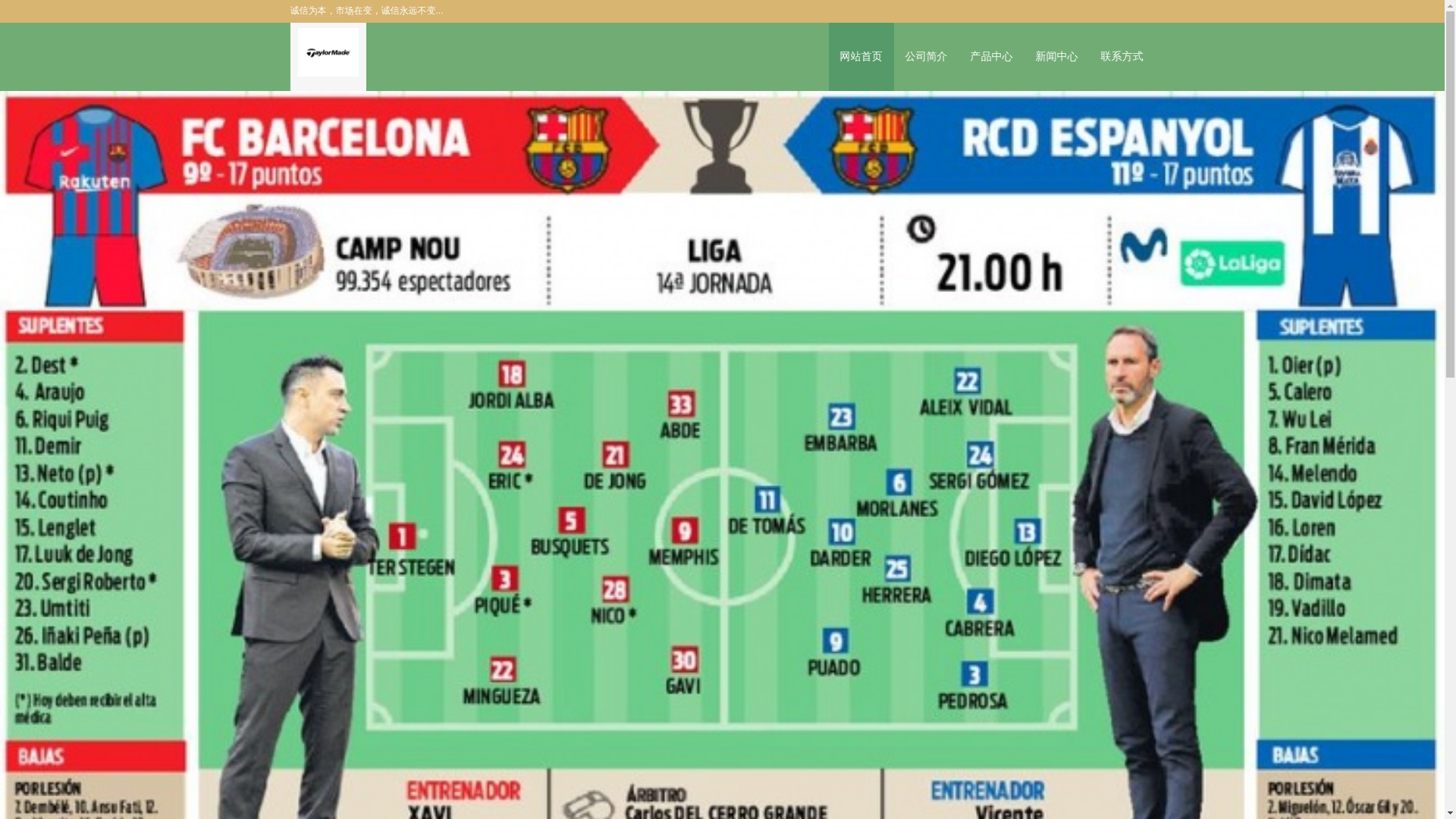 website screenshot of https://zhcns-haixingsport.com/