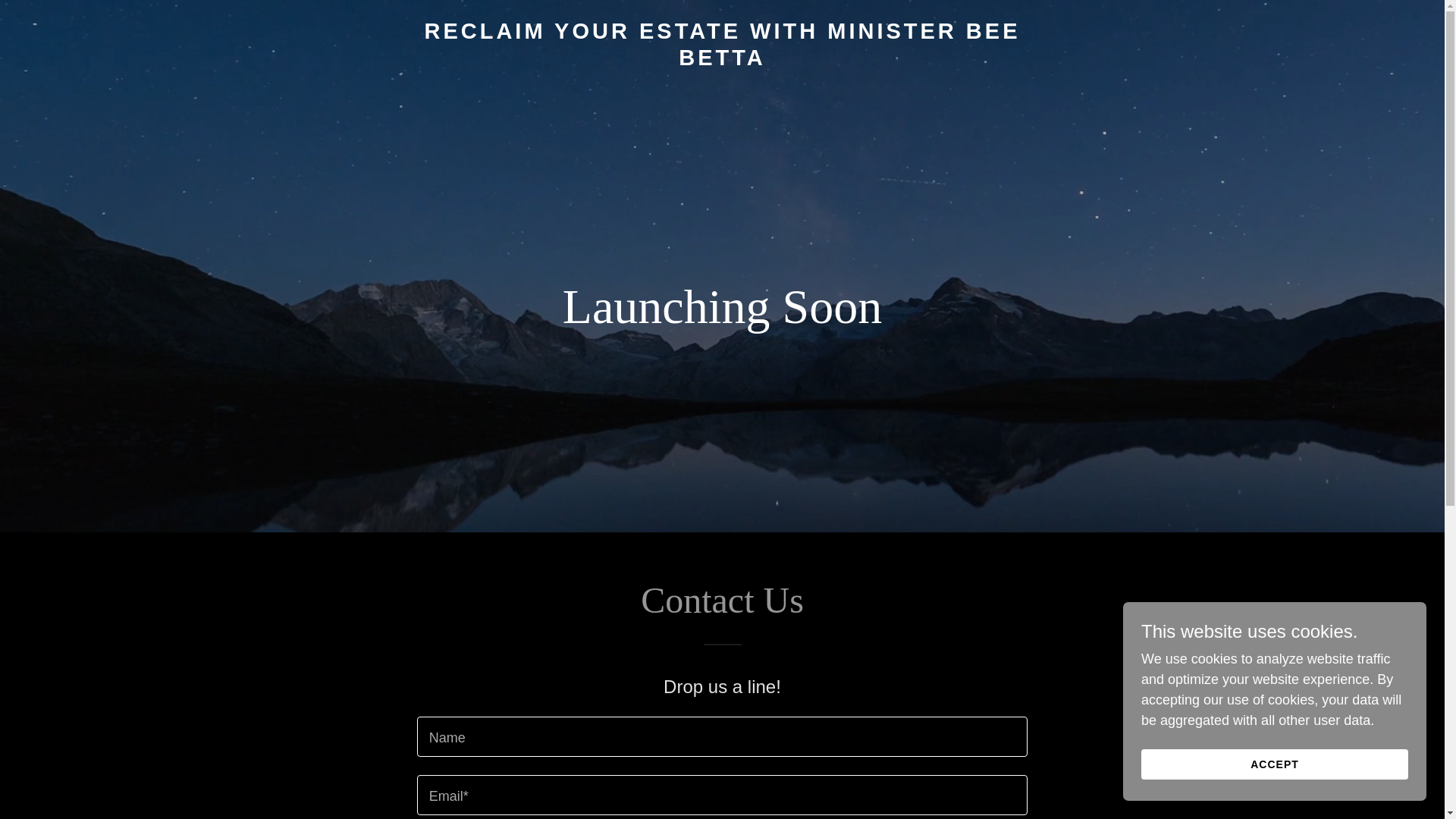 website screenshot of https://reclaimyourestatewithministerbeebetta.com/