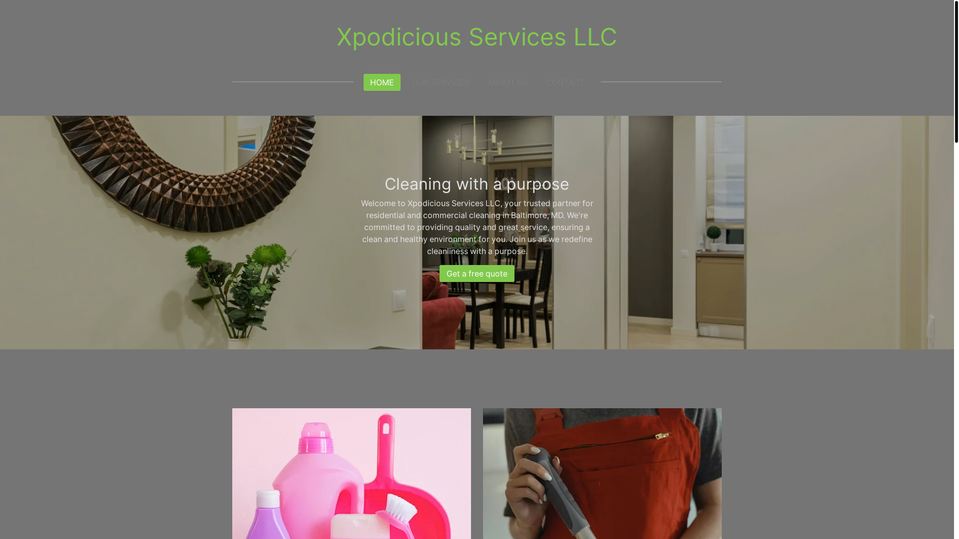 website screenshot of https://xpodiciousservicesllc.com/