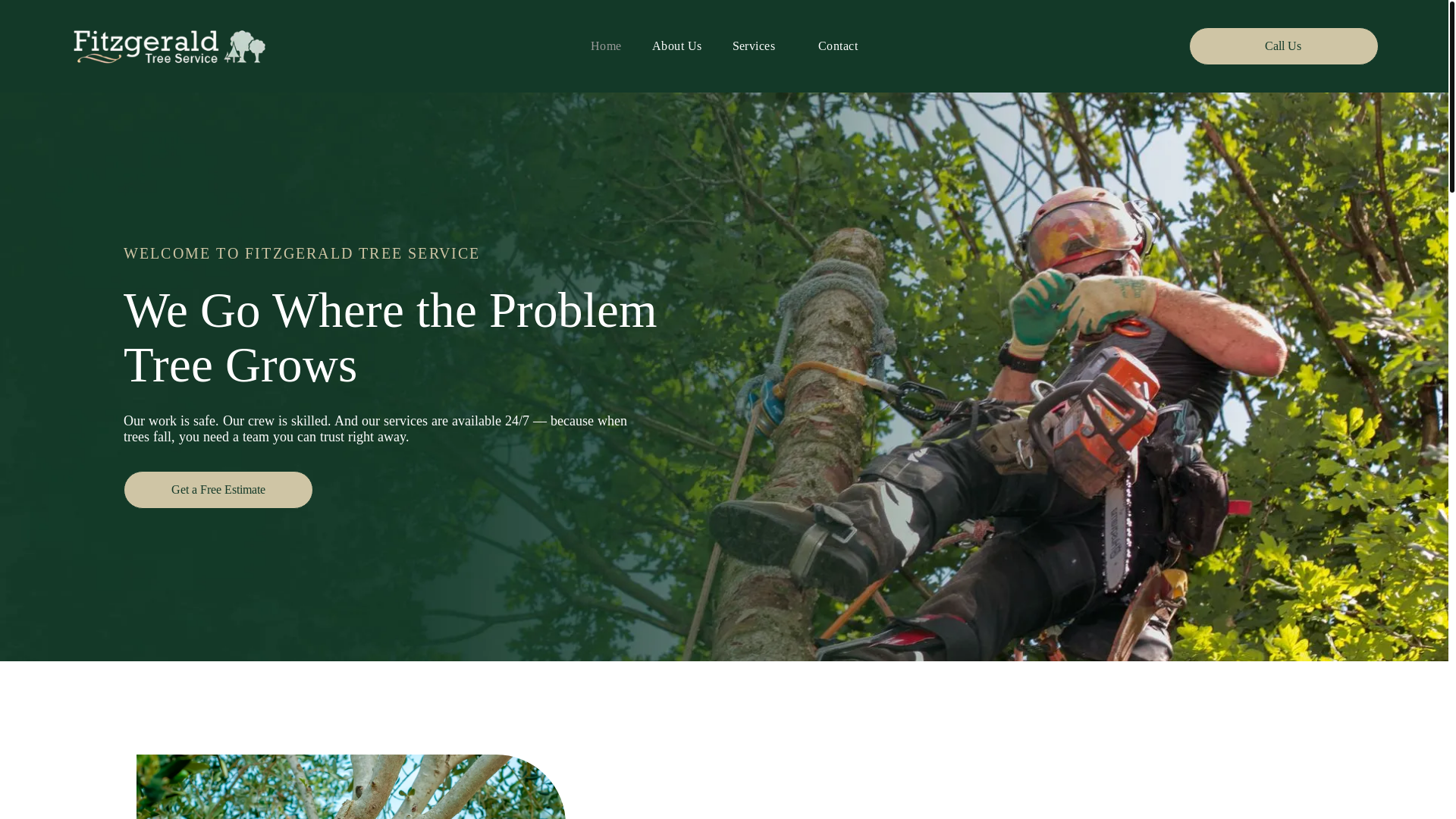 website screenshot of https://fitzgeraldtreeservice.net/