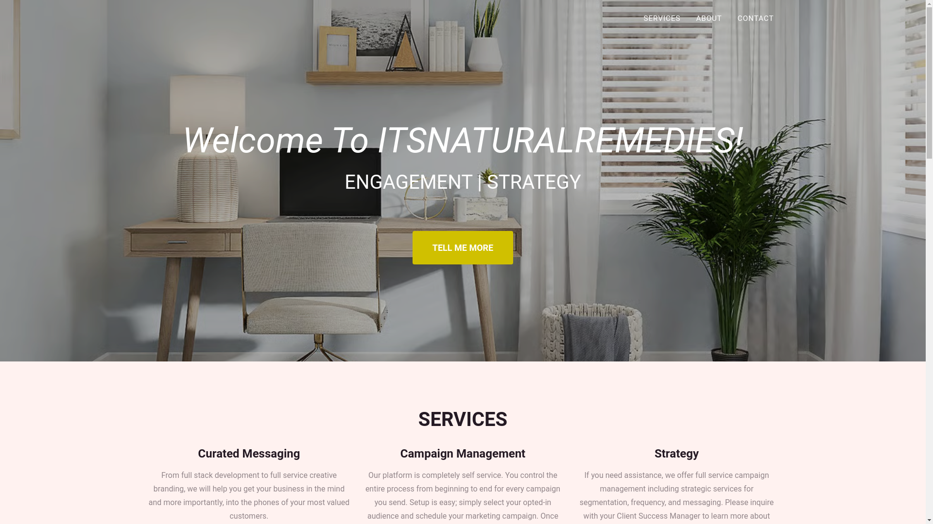 website screenshot of https://itsnaturalremedies.com/