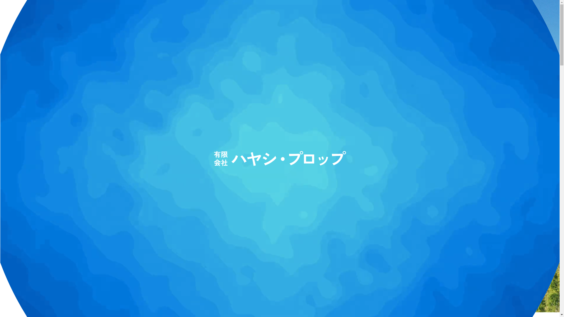 website screenshot of https://hayashi-prop.com/