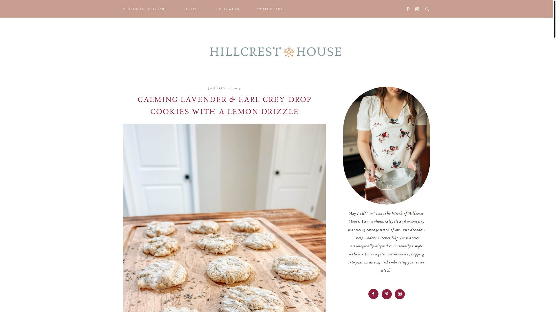 website screenshot of https://howlingseaswitchery.com/