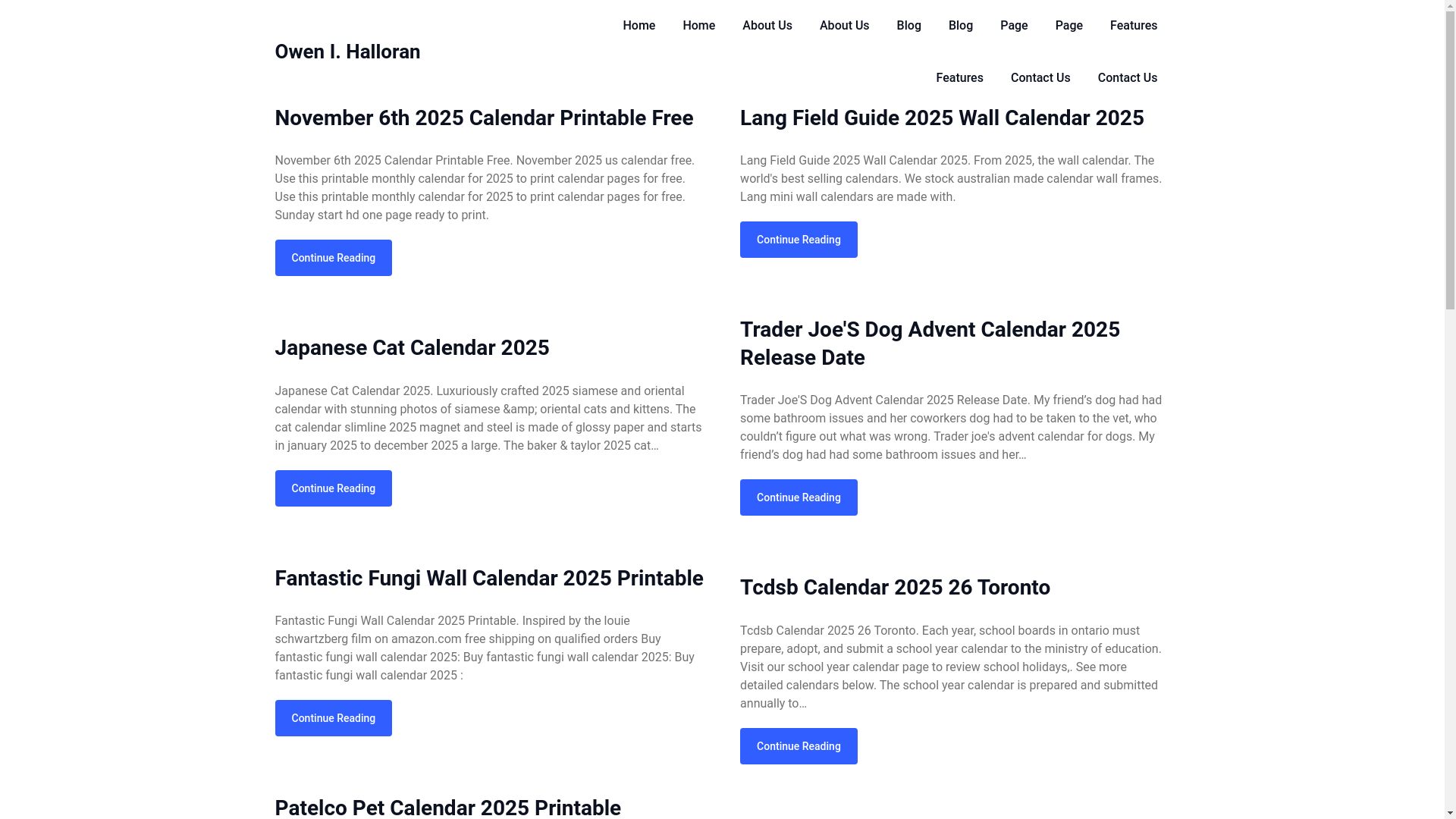 website screenshot of https://owenihalloran.pages.dev/