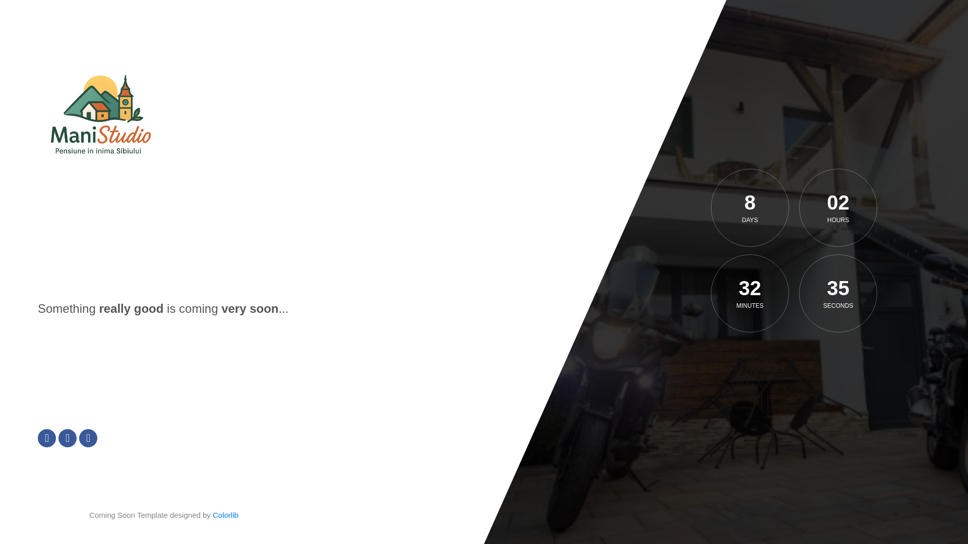 website screenshot of https://manistudio.ro/