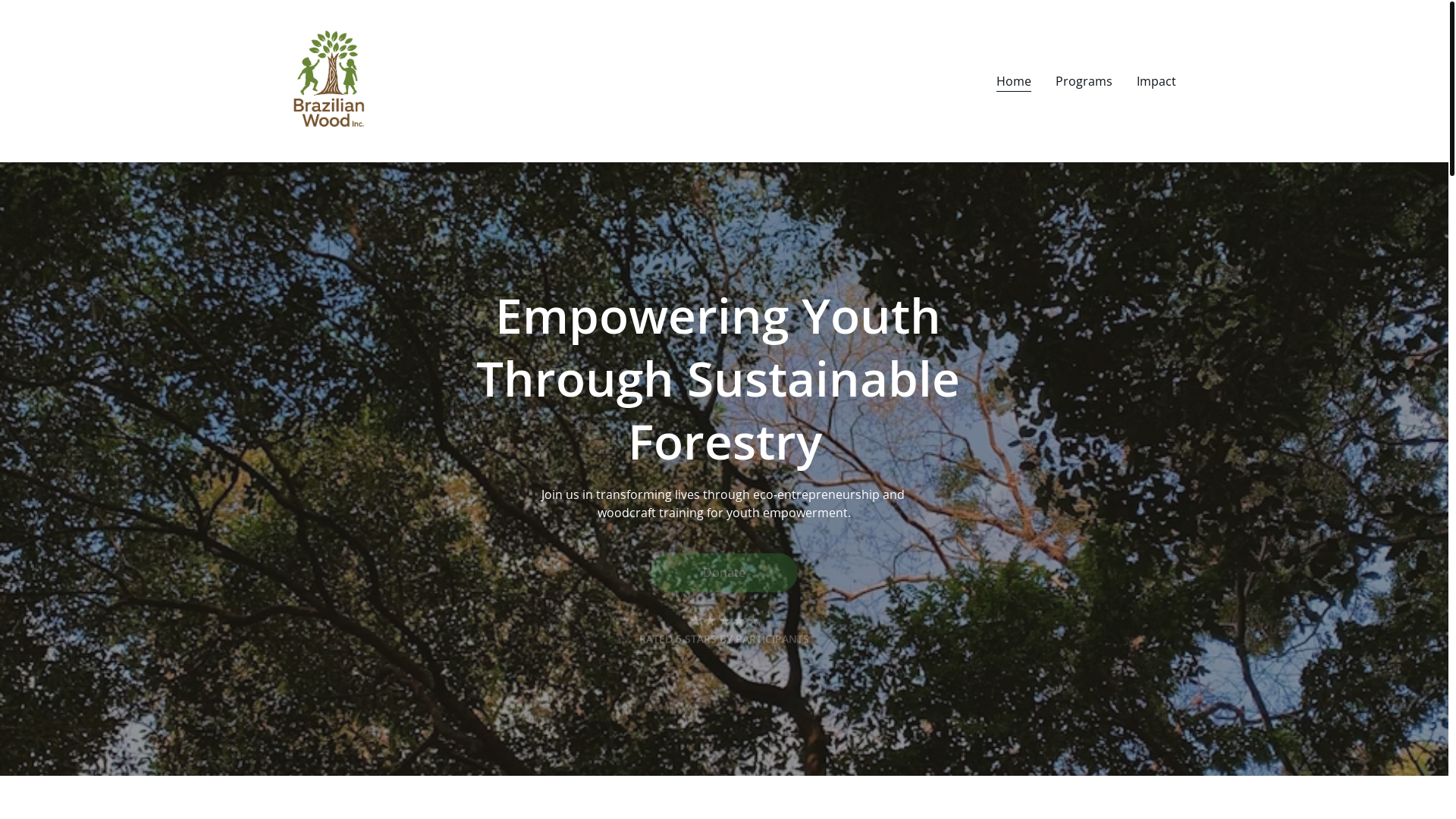 website screenshot of https://brazilianwoodtrust.org/