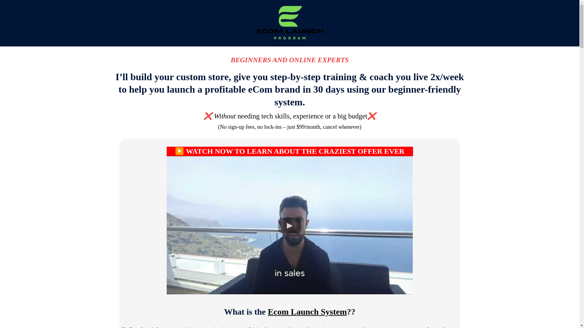 website screenshot of https://ecomlaunchprogram.com/