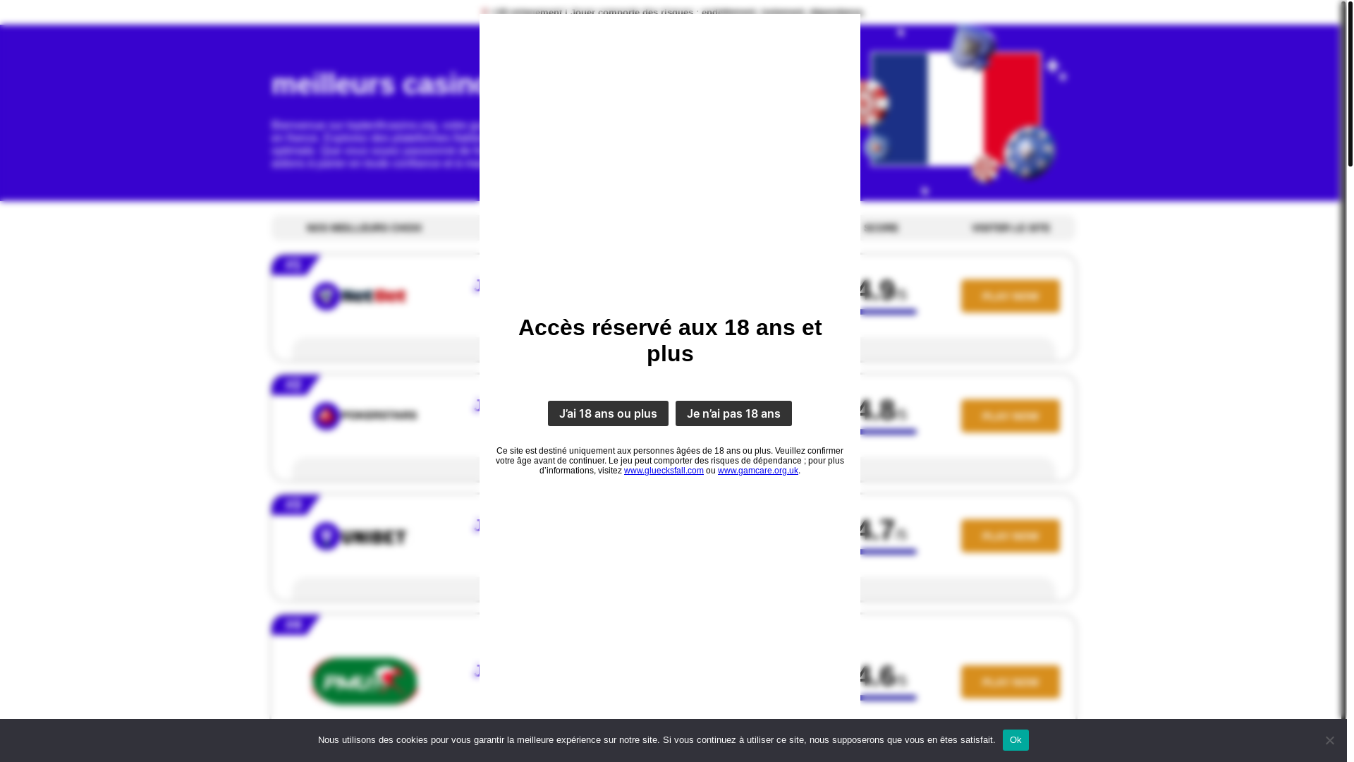 website screenshot of https://toptenfrcasino.org/
