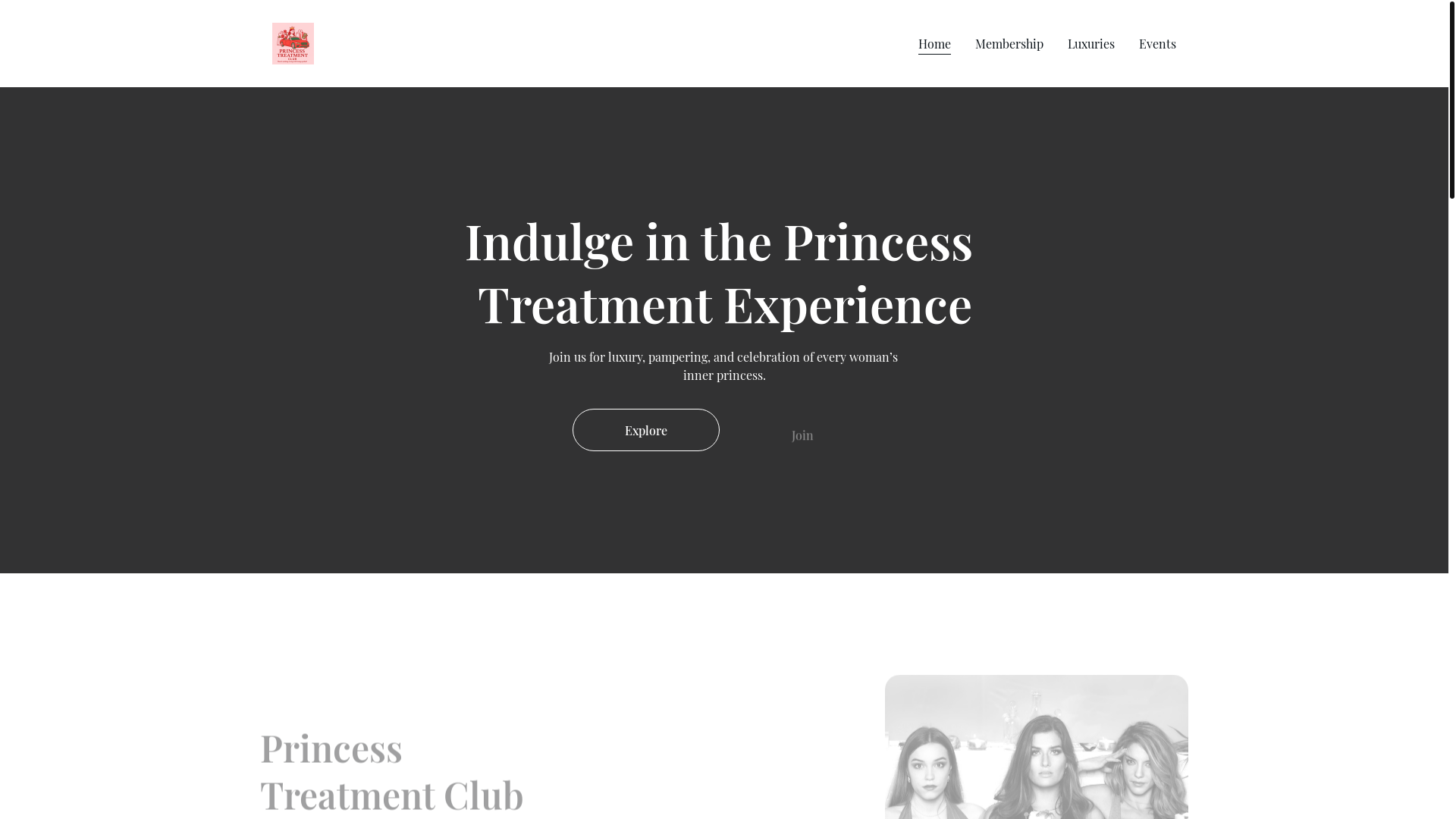 website screenshot of https://theprincesstreatmentclub.com/