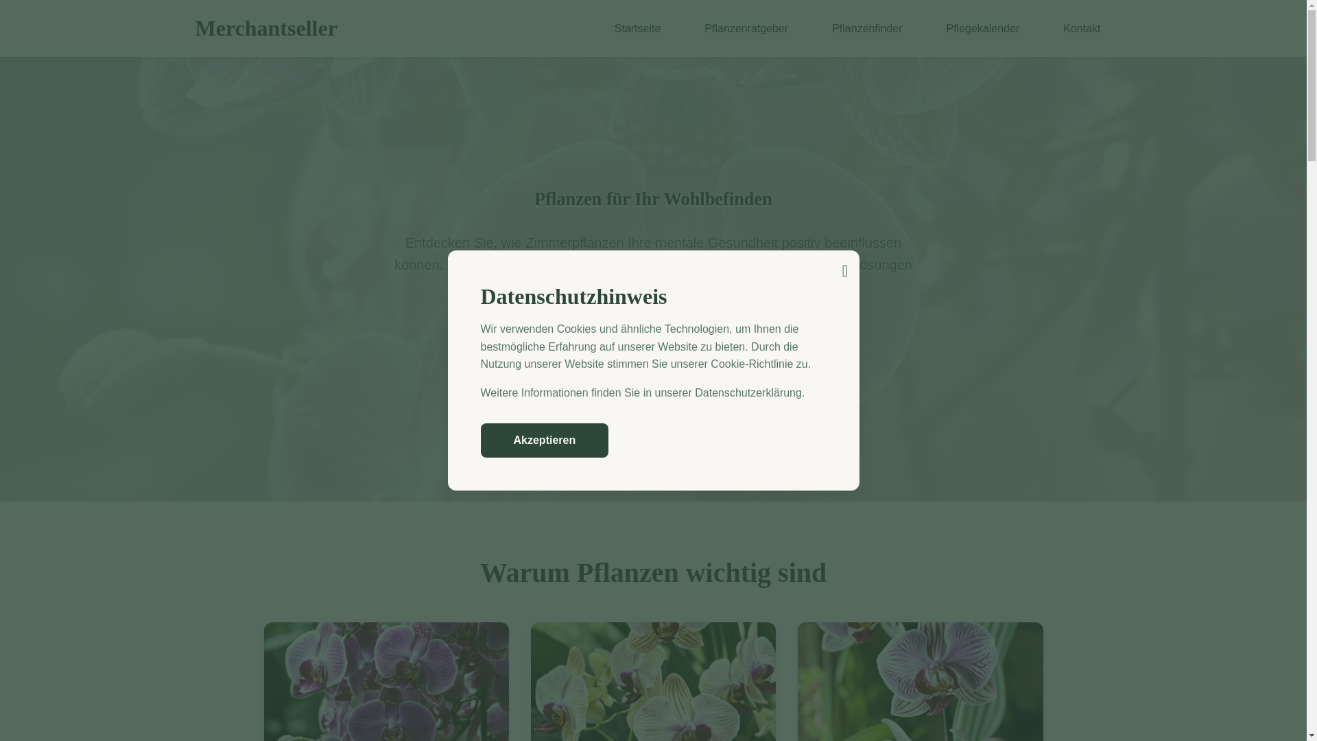 website screenshot of https://merchantseller.world/
