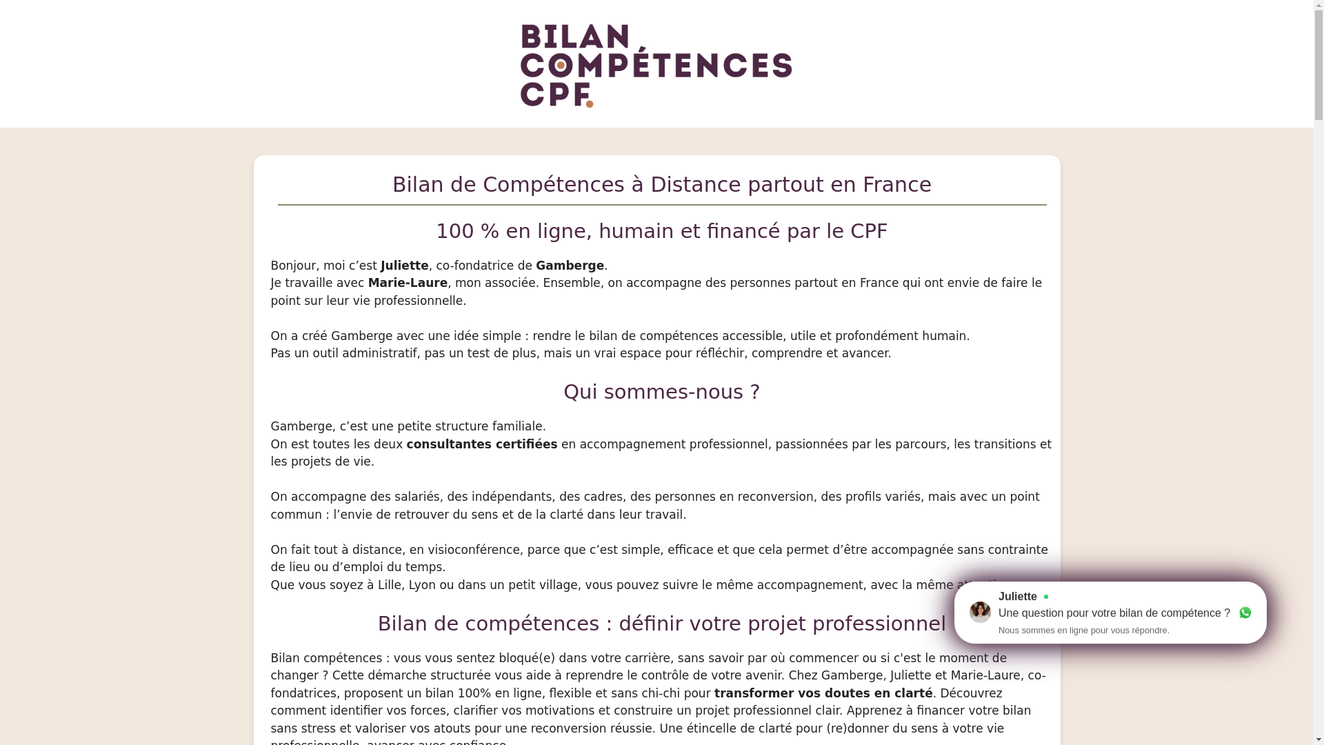 website screenshot of https://bilan-de-competences-performant.online/