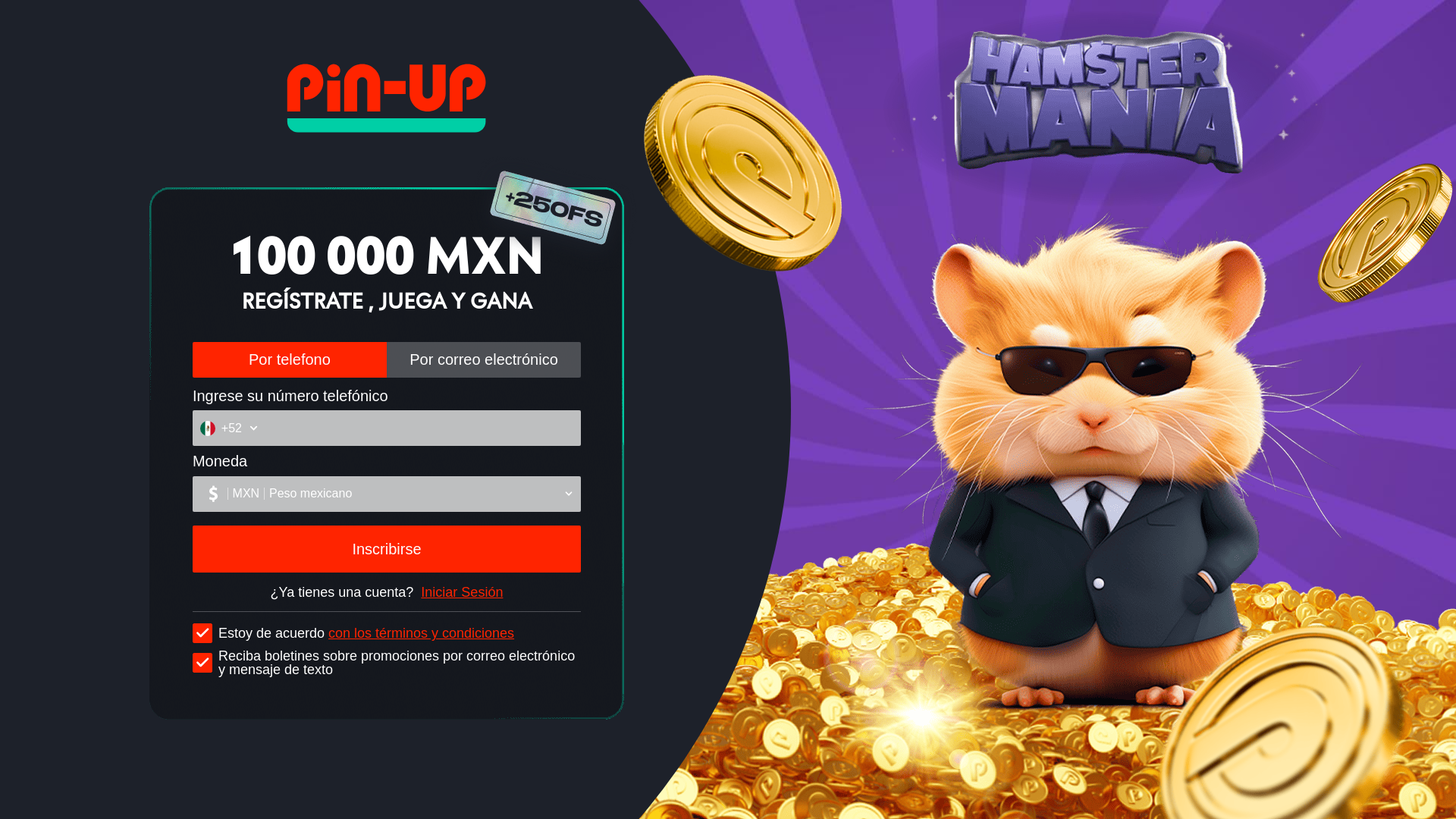 website screenshot of https://hamstermania-crossbrand-form-mx.pages.dev/