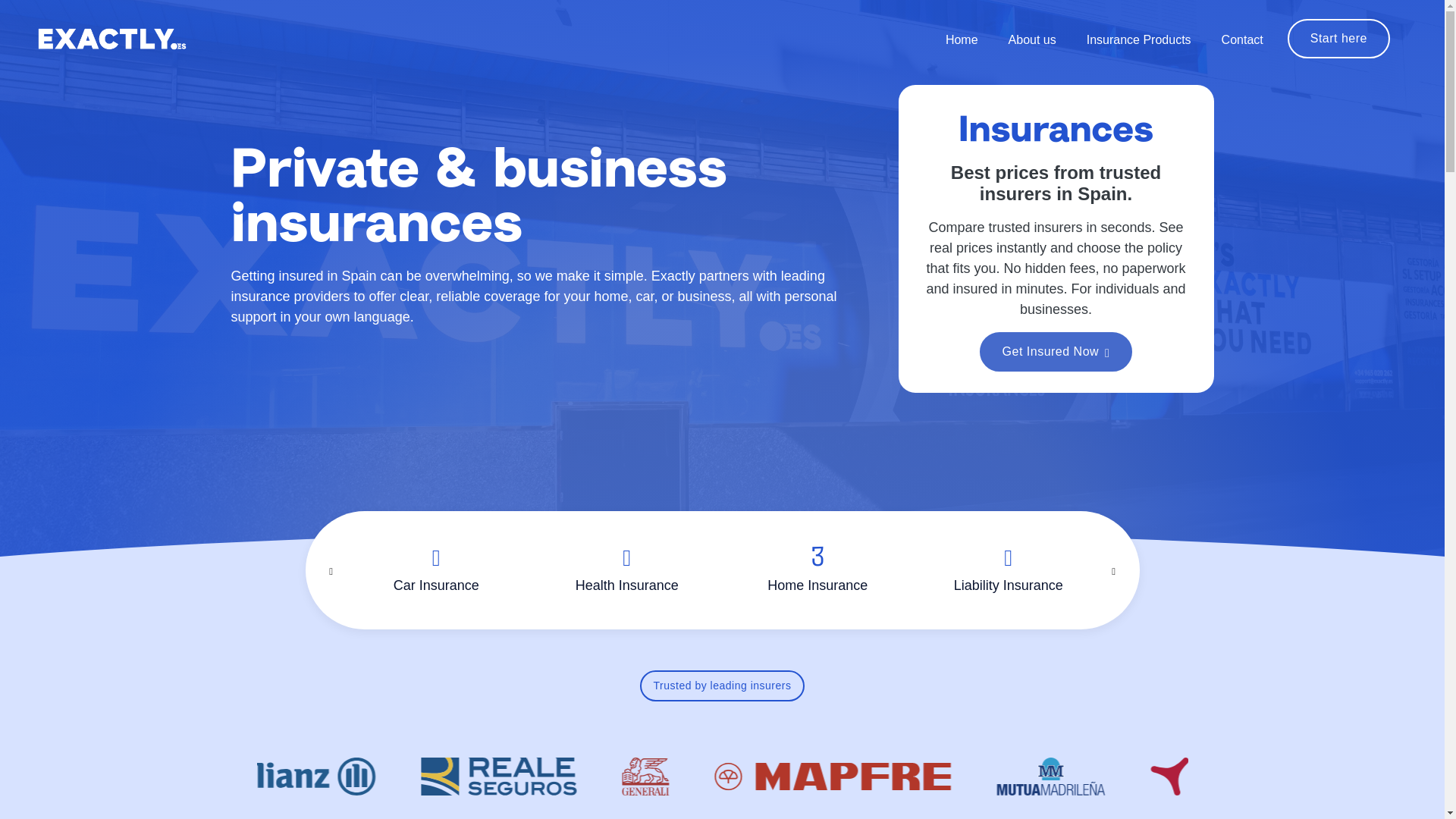 website screenshot of https://exactlyseguros.es/