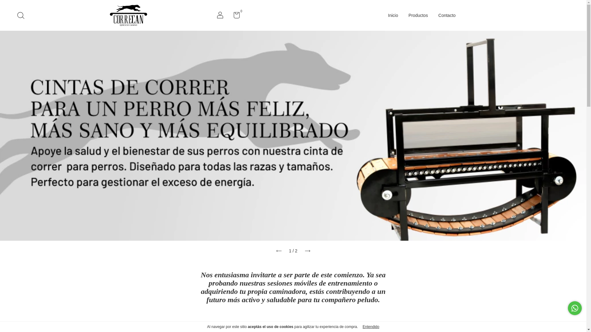 website screenshot of https://correcan.com.ar/