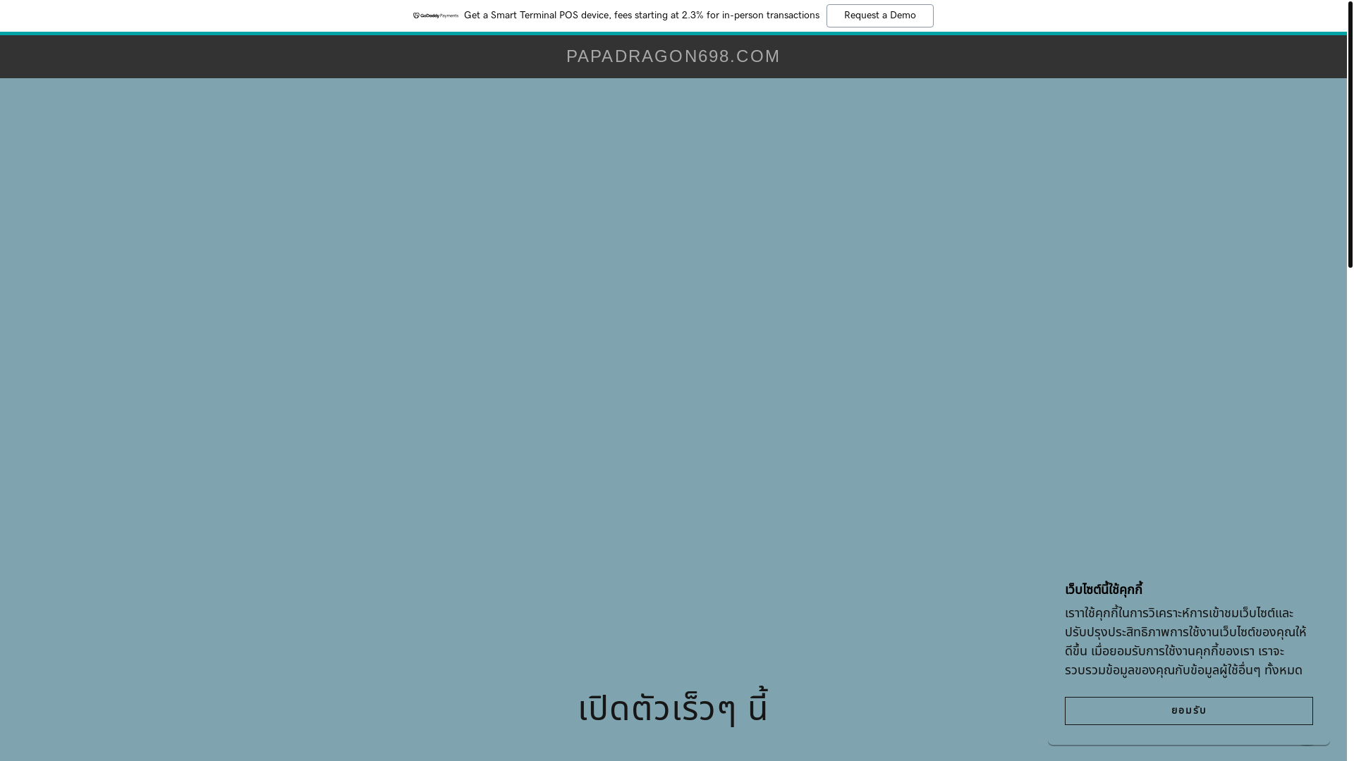 website screenshot of https://papadragon698.com/