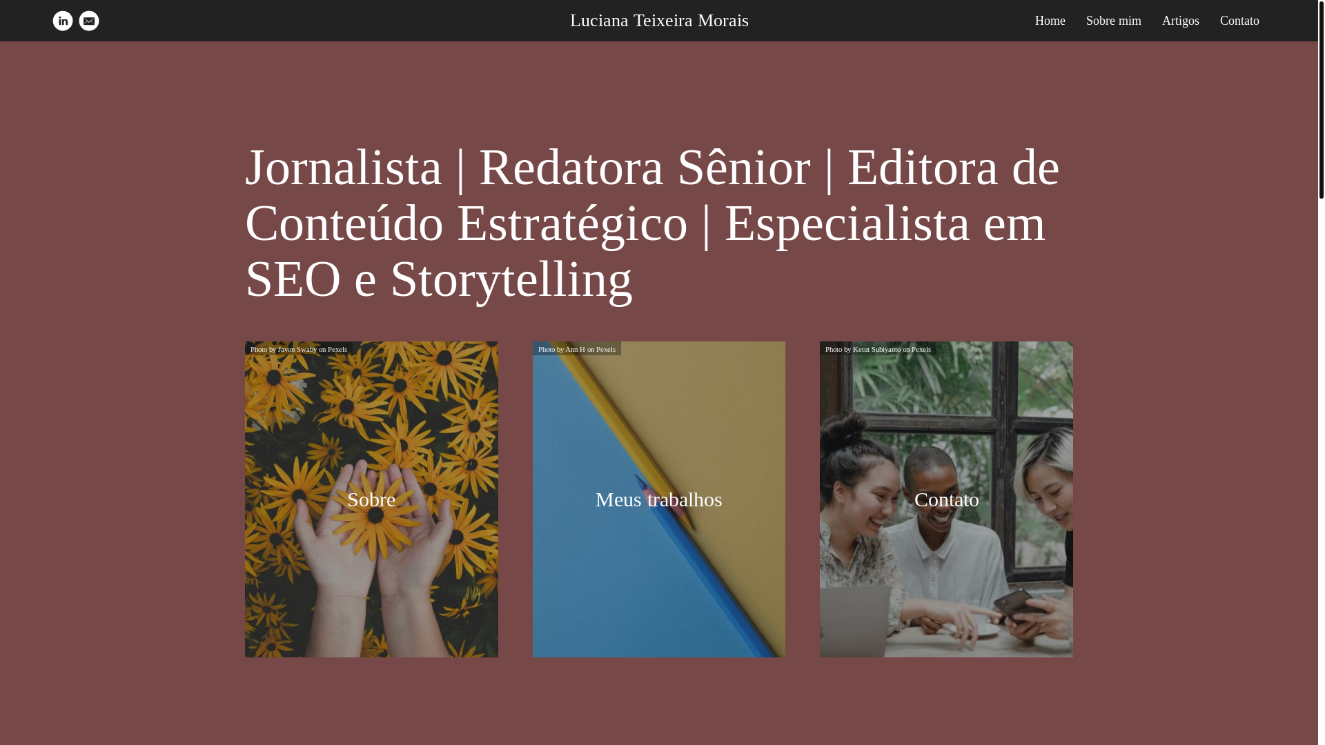 website screenshot of https://lucianateixeiramorais.com/