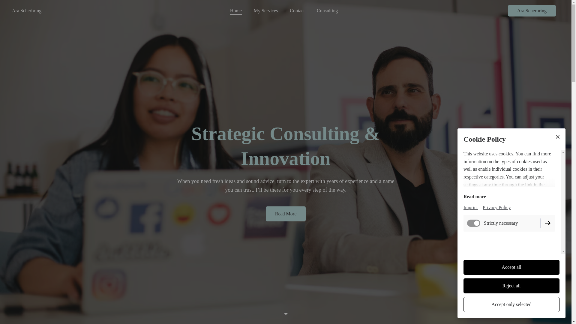 website screenshot of https://arascherbring.com/