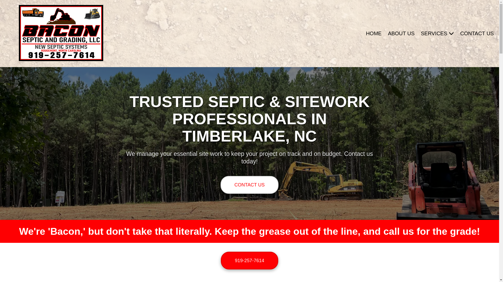 website screenshot of https://baconsepticandgrading.com/