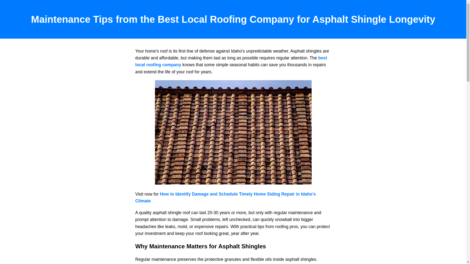 website screenshot of https://roofingcompany.pages.dev/